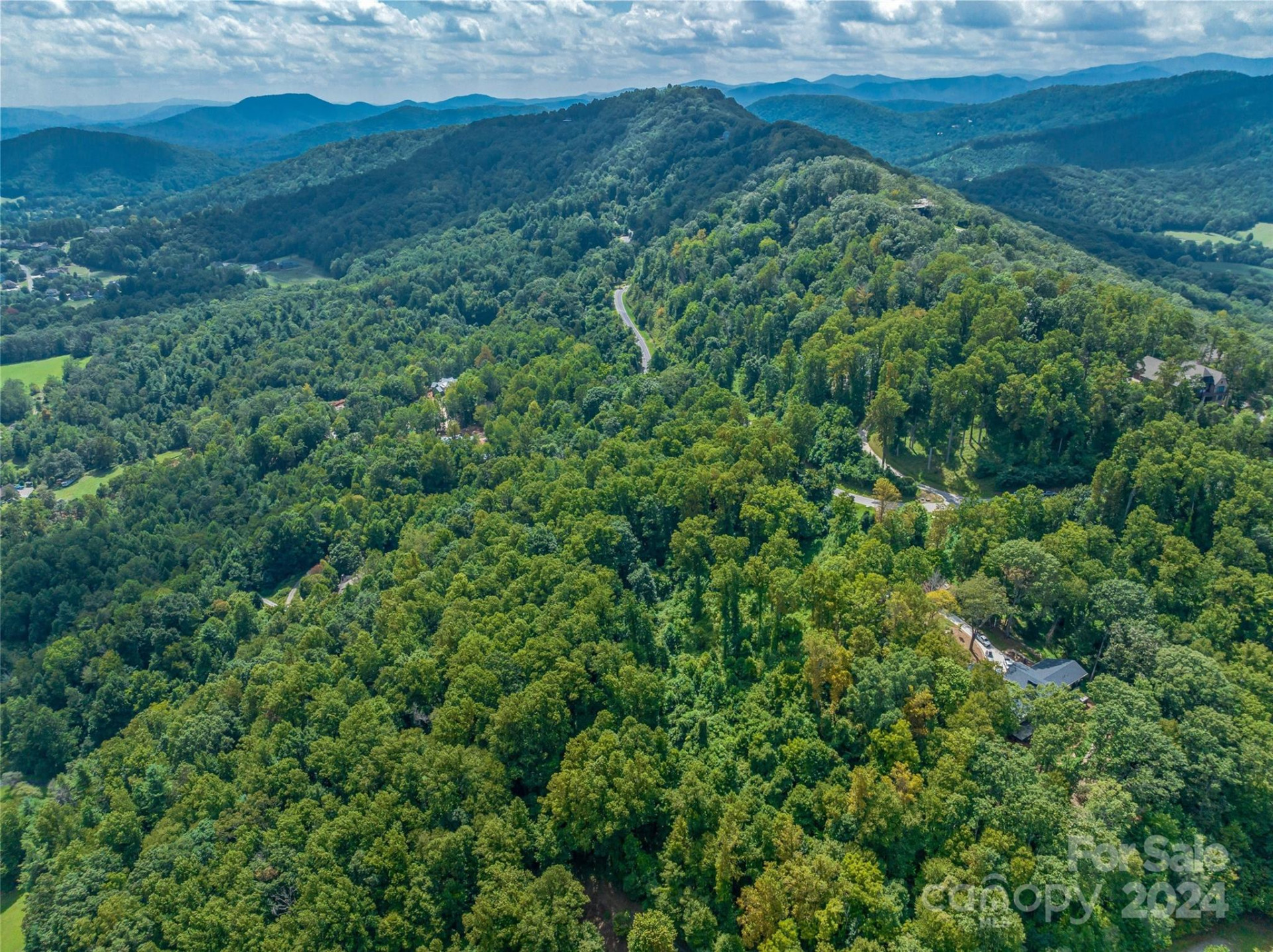 54 Split Rock Trail - Photo 4