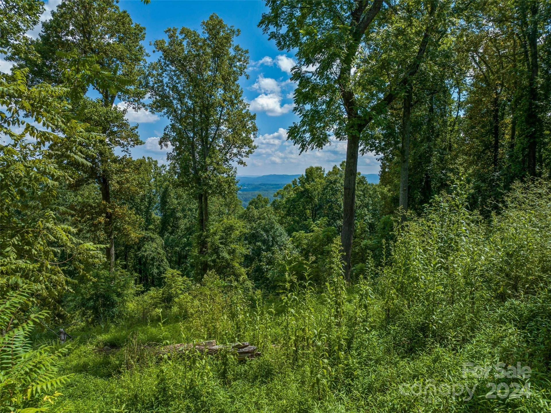 54 Split Rock Trail - Photo 5