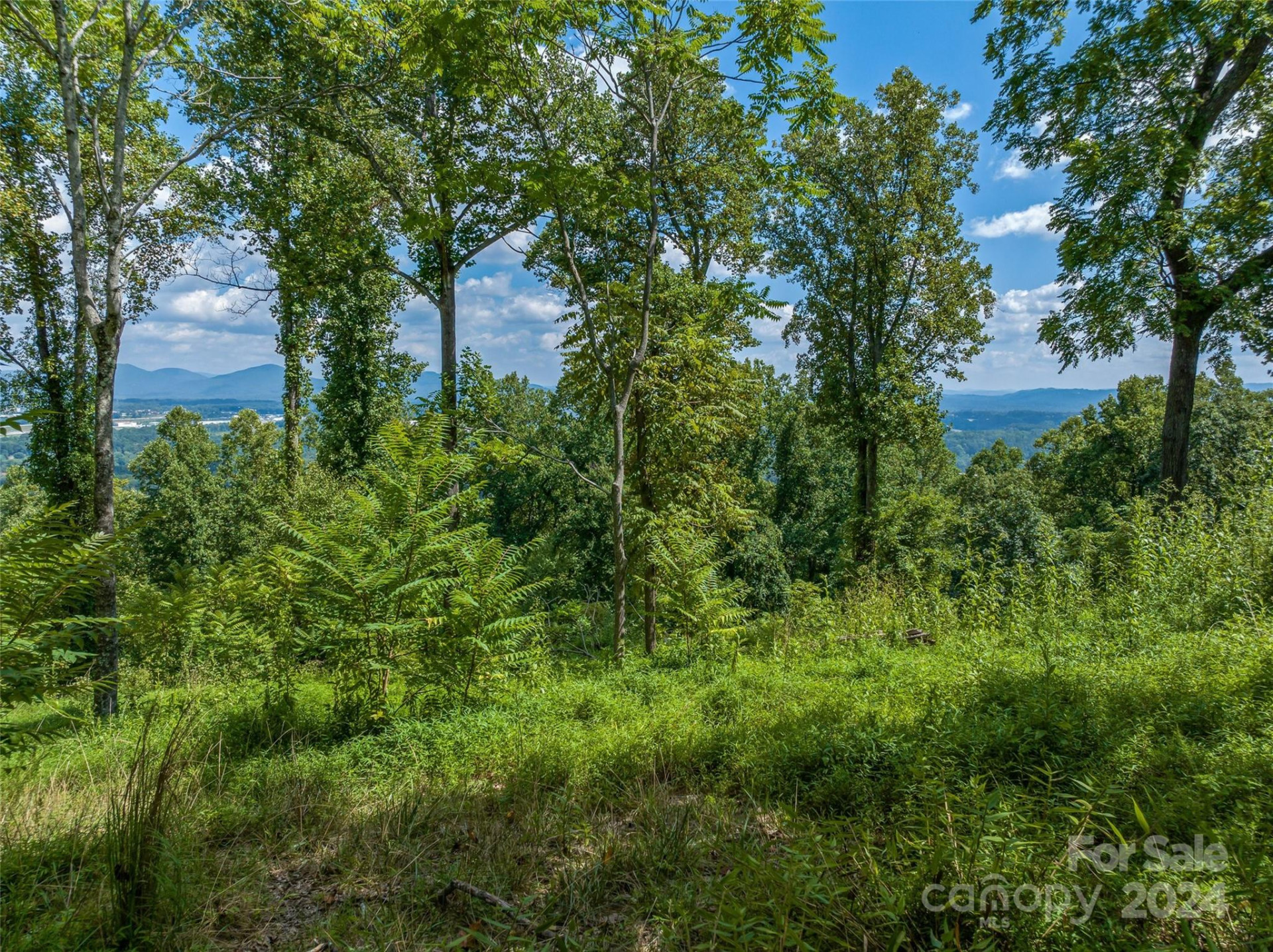 54 Split Rock Trail - Photo 7
