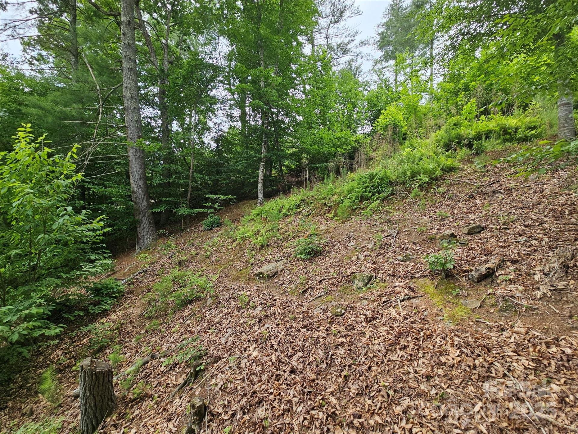 2620 Waterside Boulevard #68 - Photo 20