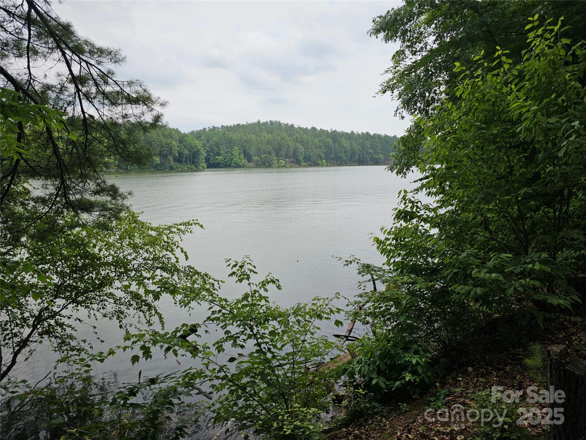 2620 Waterside Boulevard #68 - Photo 6