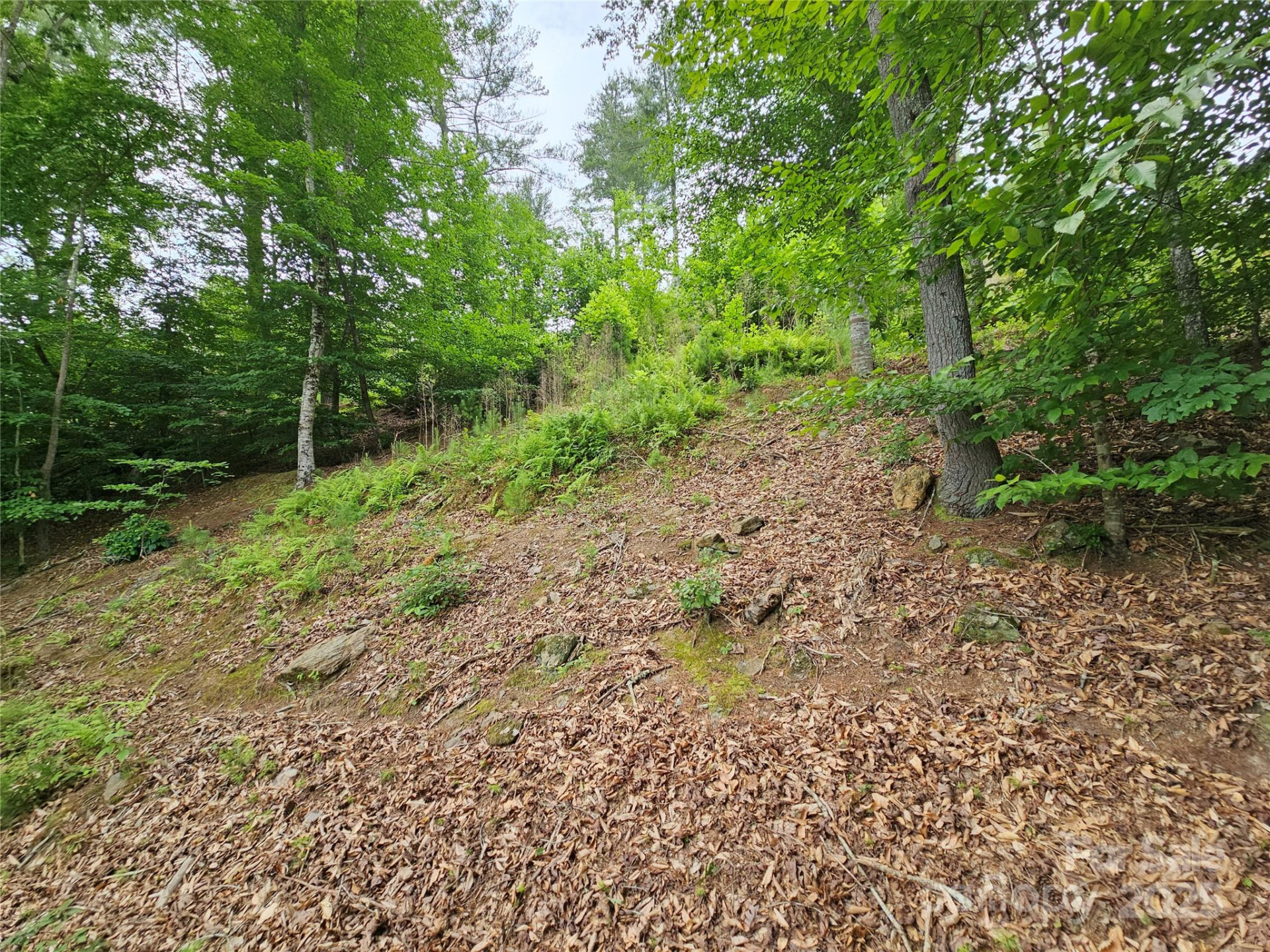 2620 Waterside Boulevard #68 - Photo 9