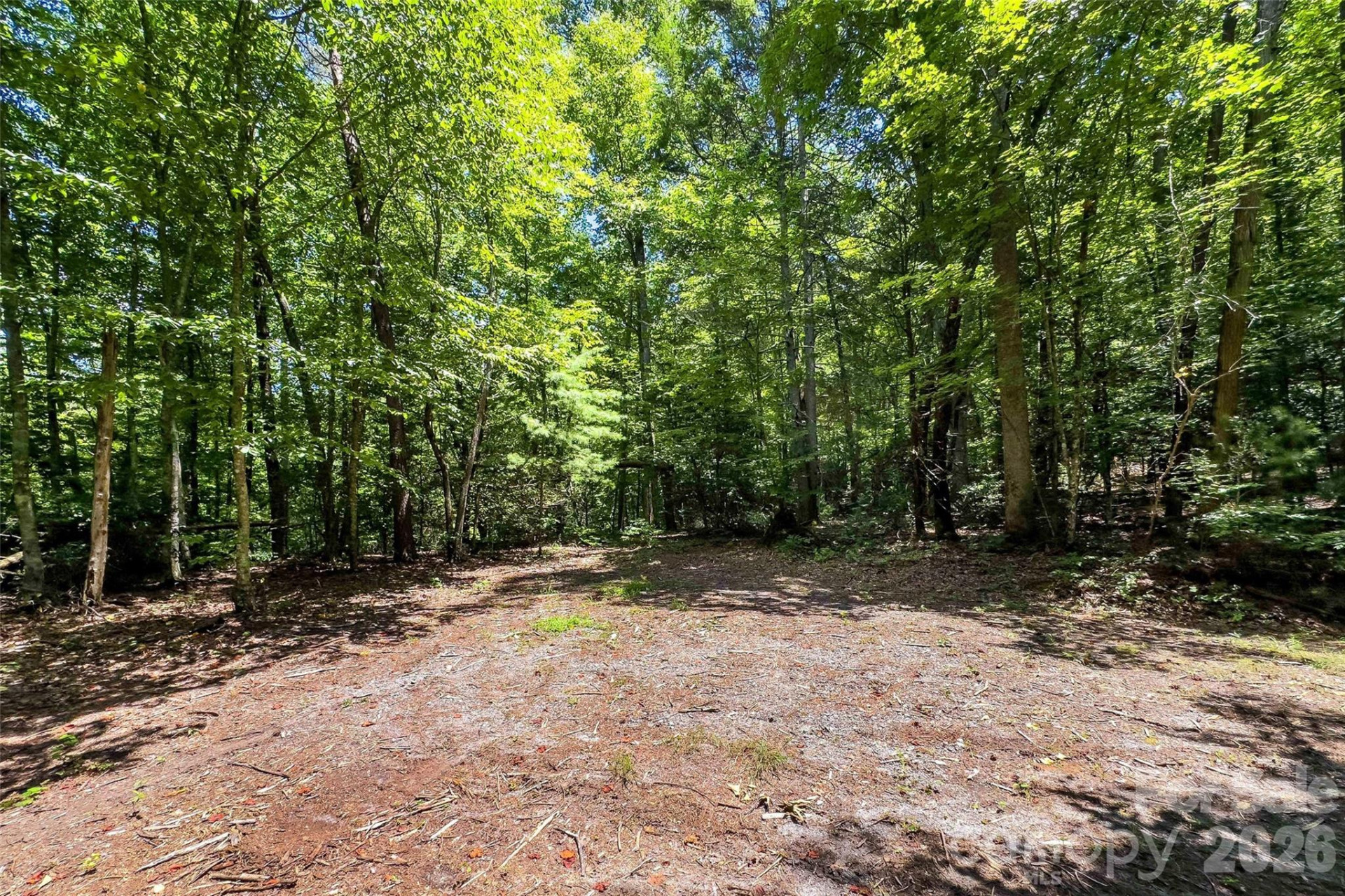 0 Buffalo Creek Road - Photo 2
