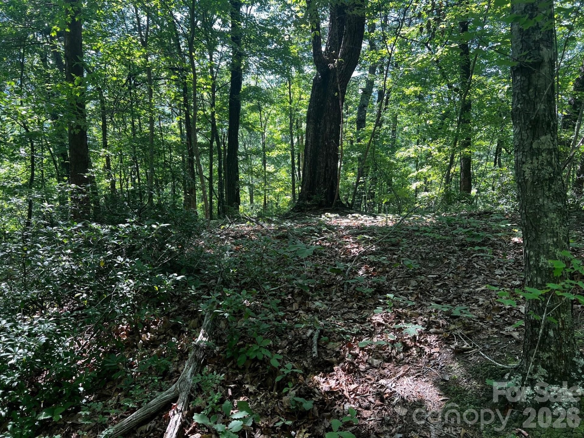 0 Buffalo Creek Road - Photo 12