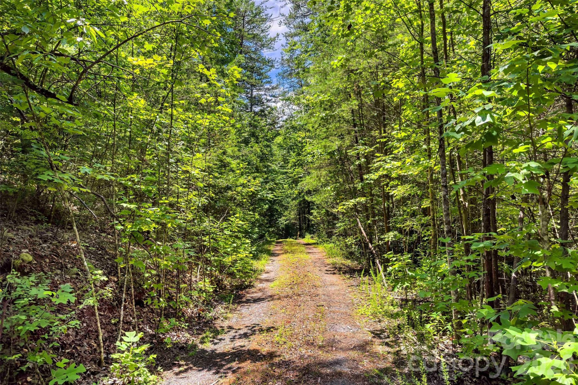 0 Buffalo Creek Road - Photo 3