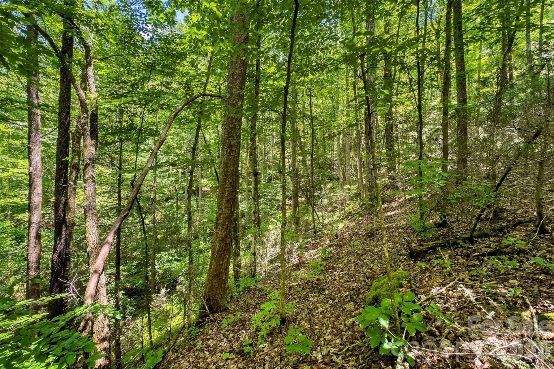 0 Buffalo Creek Road - Photo 5