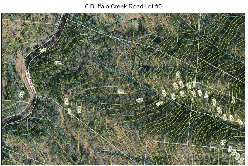 0 Buffalo Creek Road - Photo 6