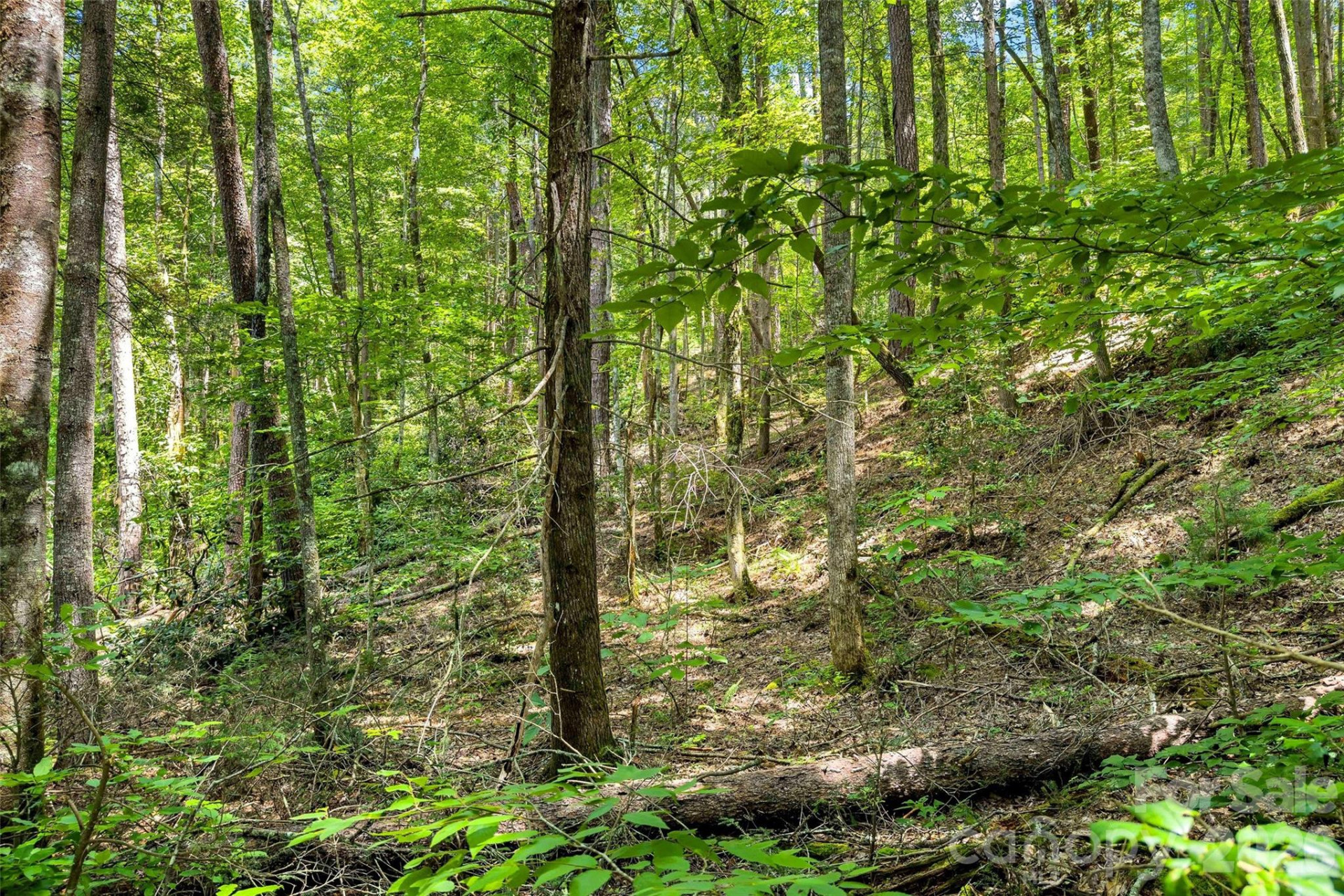 0 Buffalo Creek Road - Photo 8
