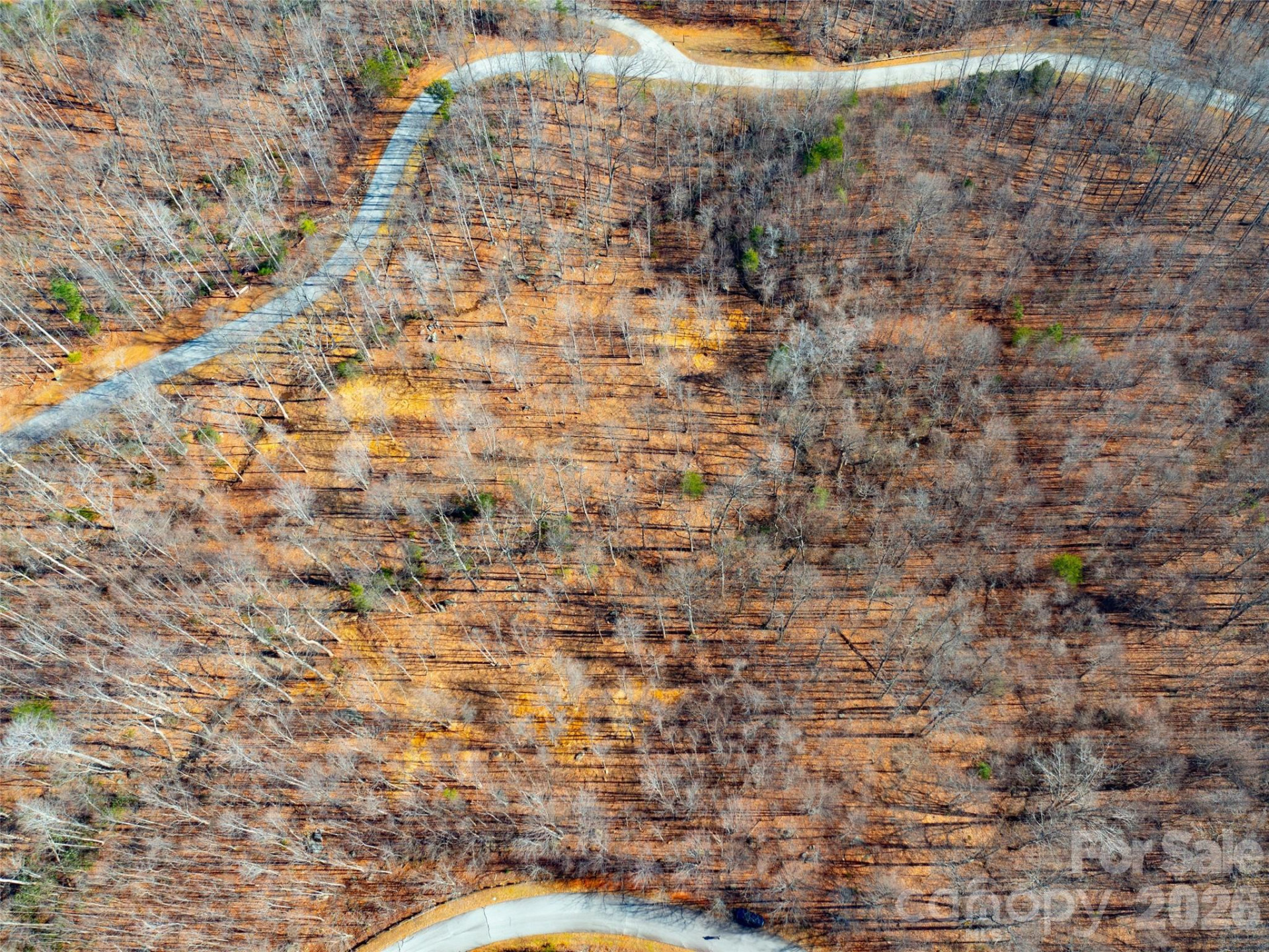 220 Chesterfield Drive - Photo 2