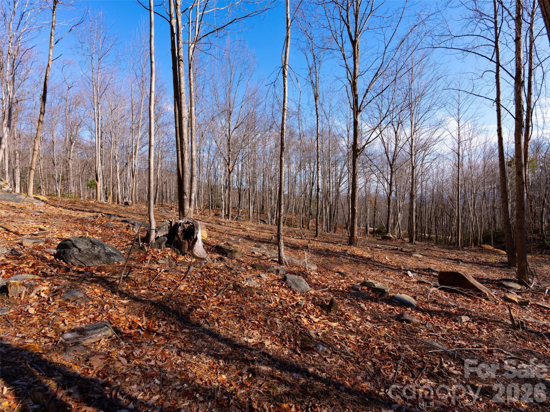 220 Chesterfield Drive - Photo 11