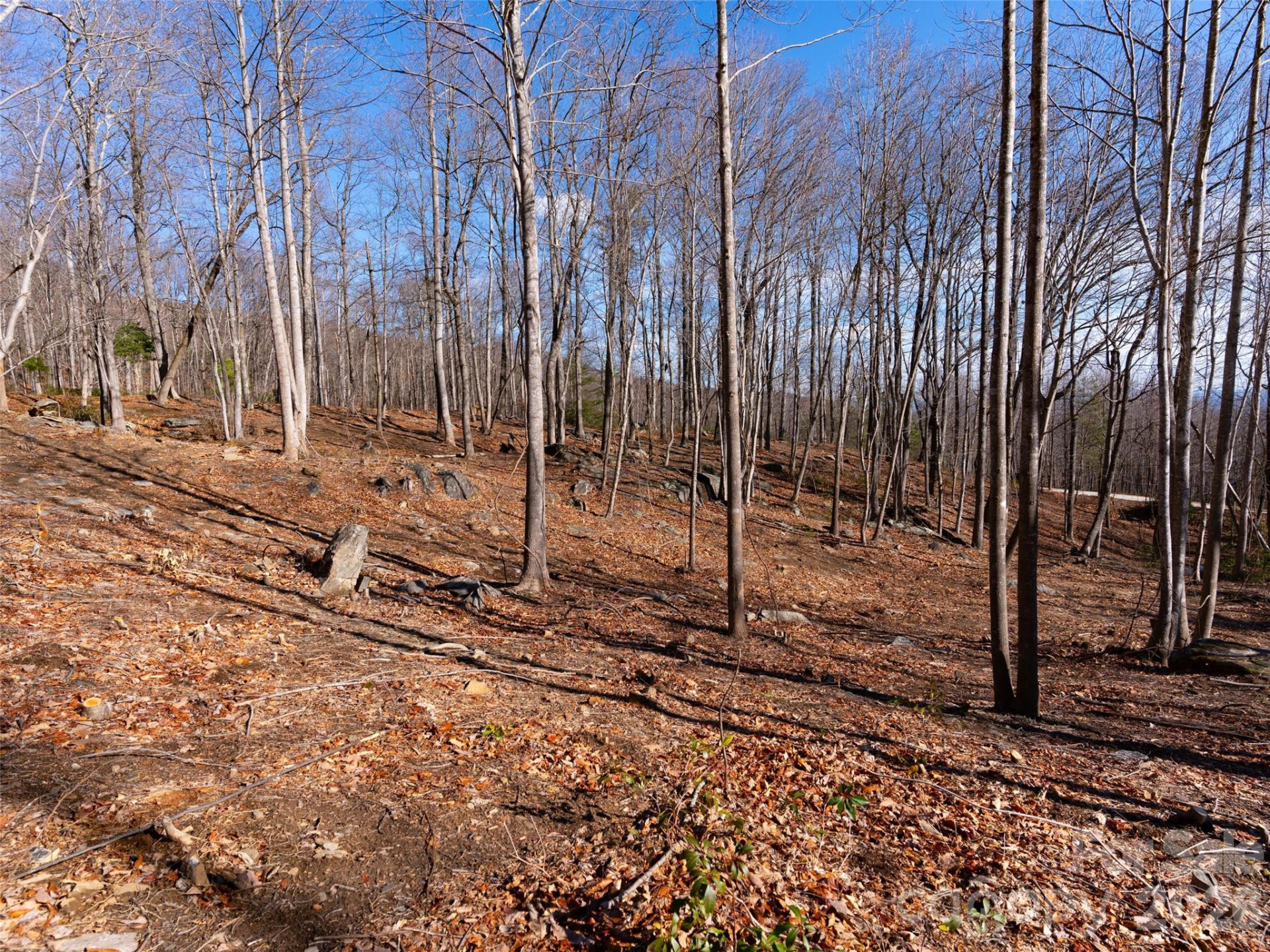 220 Chesterfield Drive - Photo 12