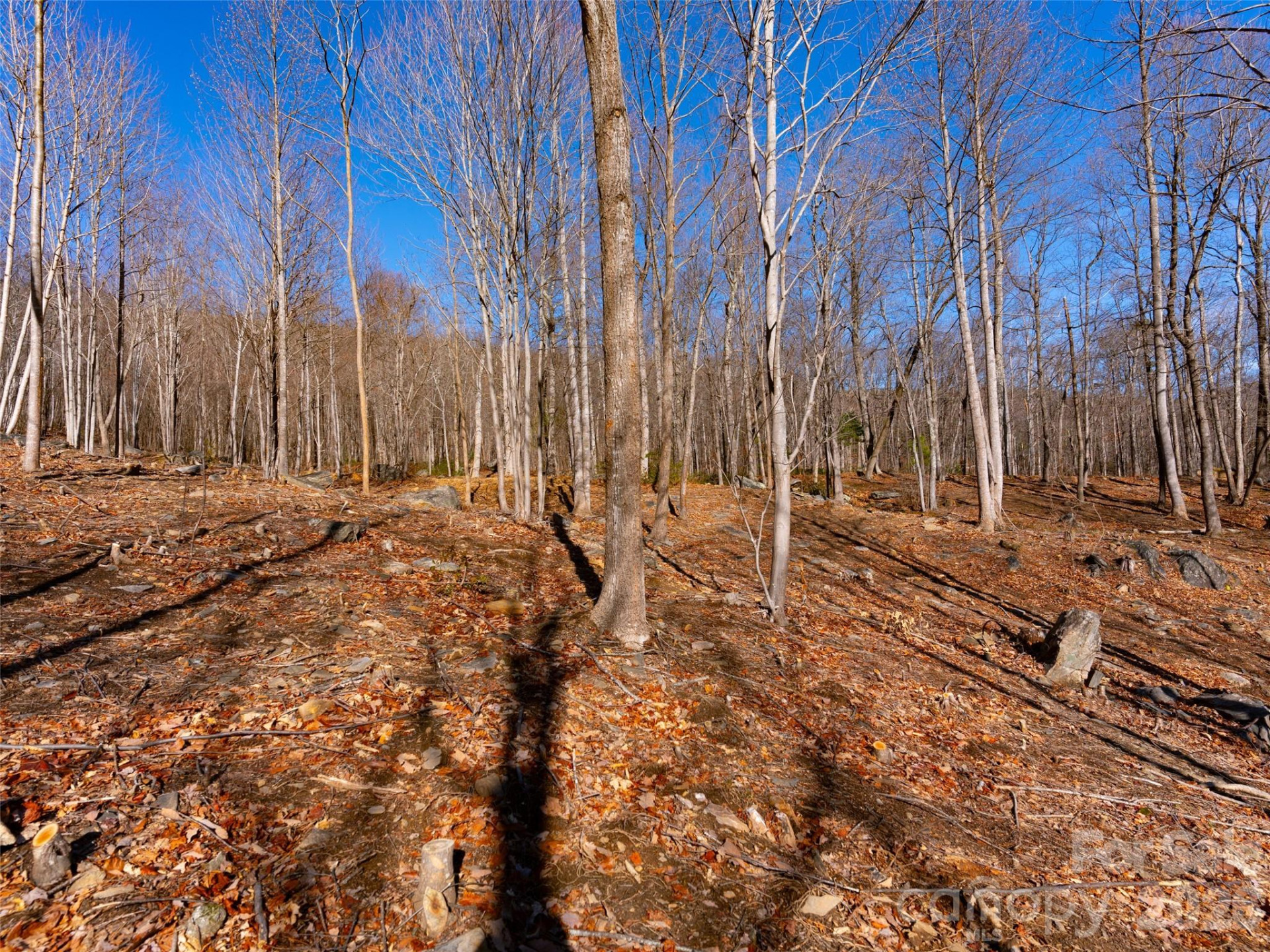 220 Chesterfield Drive - Photo 13