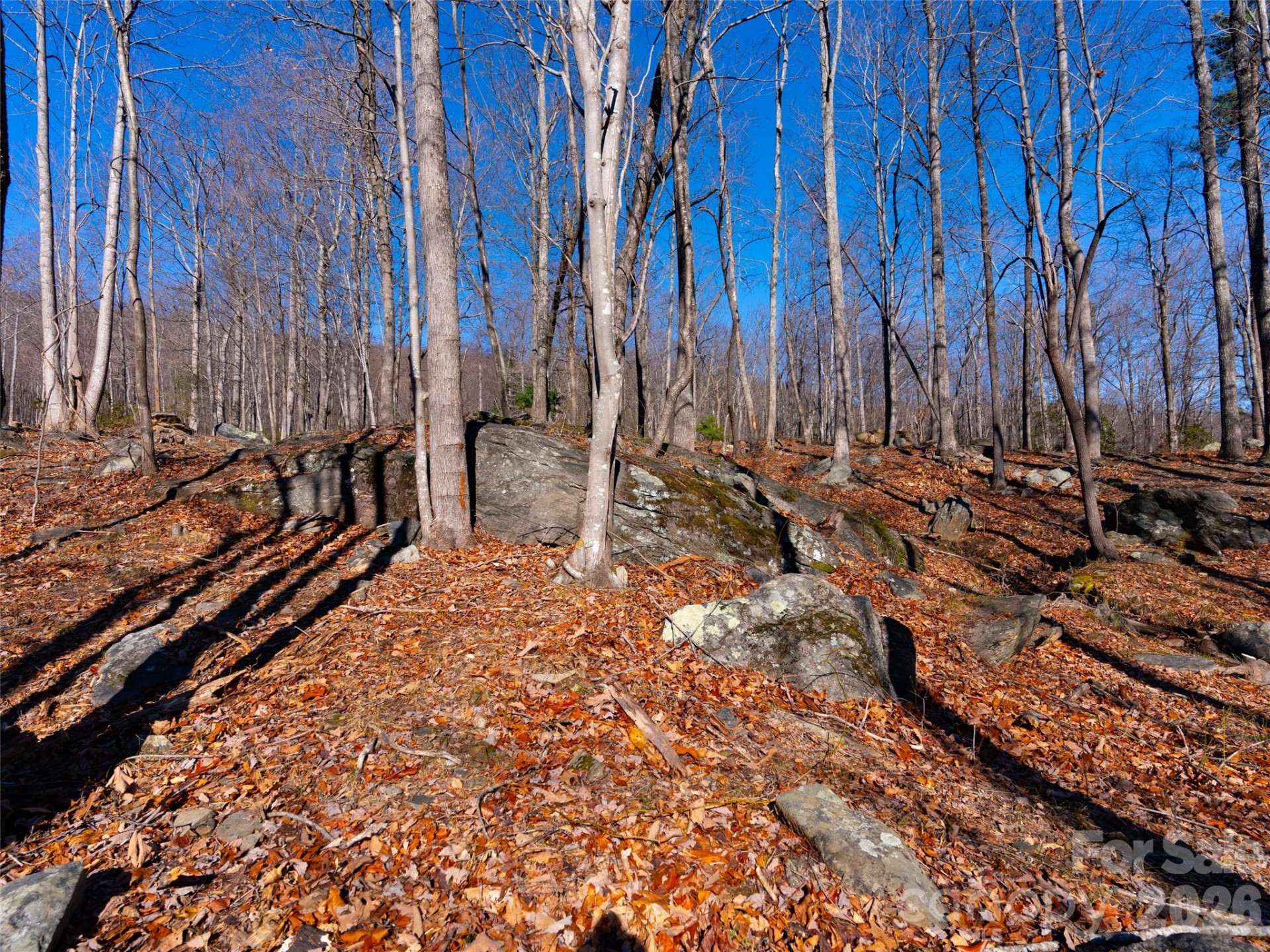 220 Chesterfield Drive - Photo 14