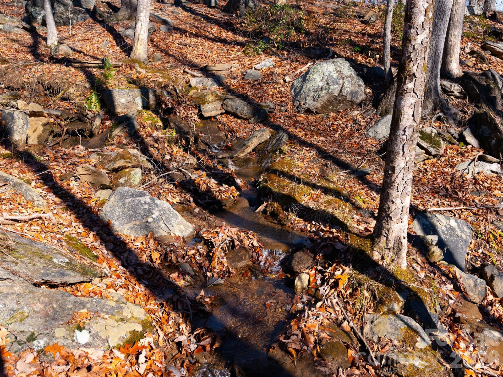 220 Chesterfield Drive - Photo 15