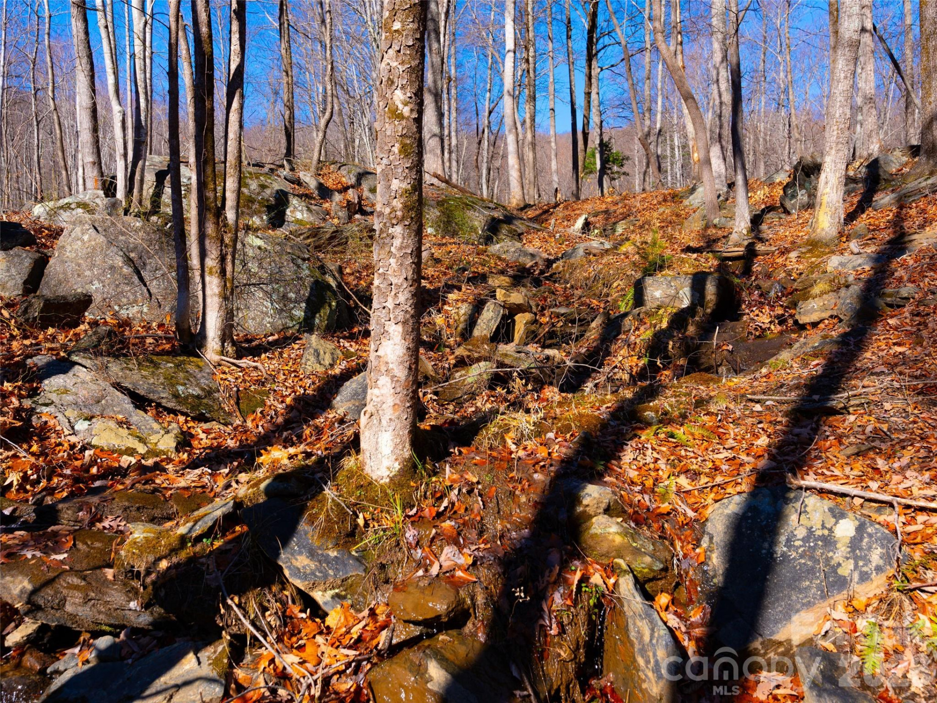 220 Chesterfield Drive - Photo 16