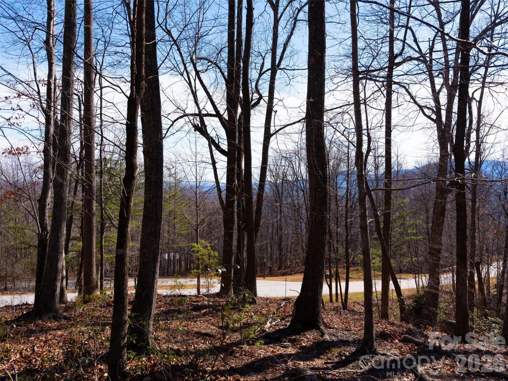 220 Chesterfield Drive - Photo 17