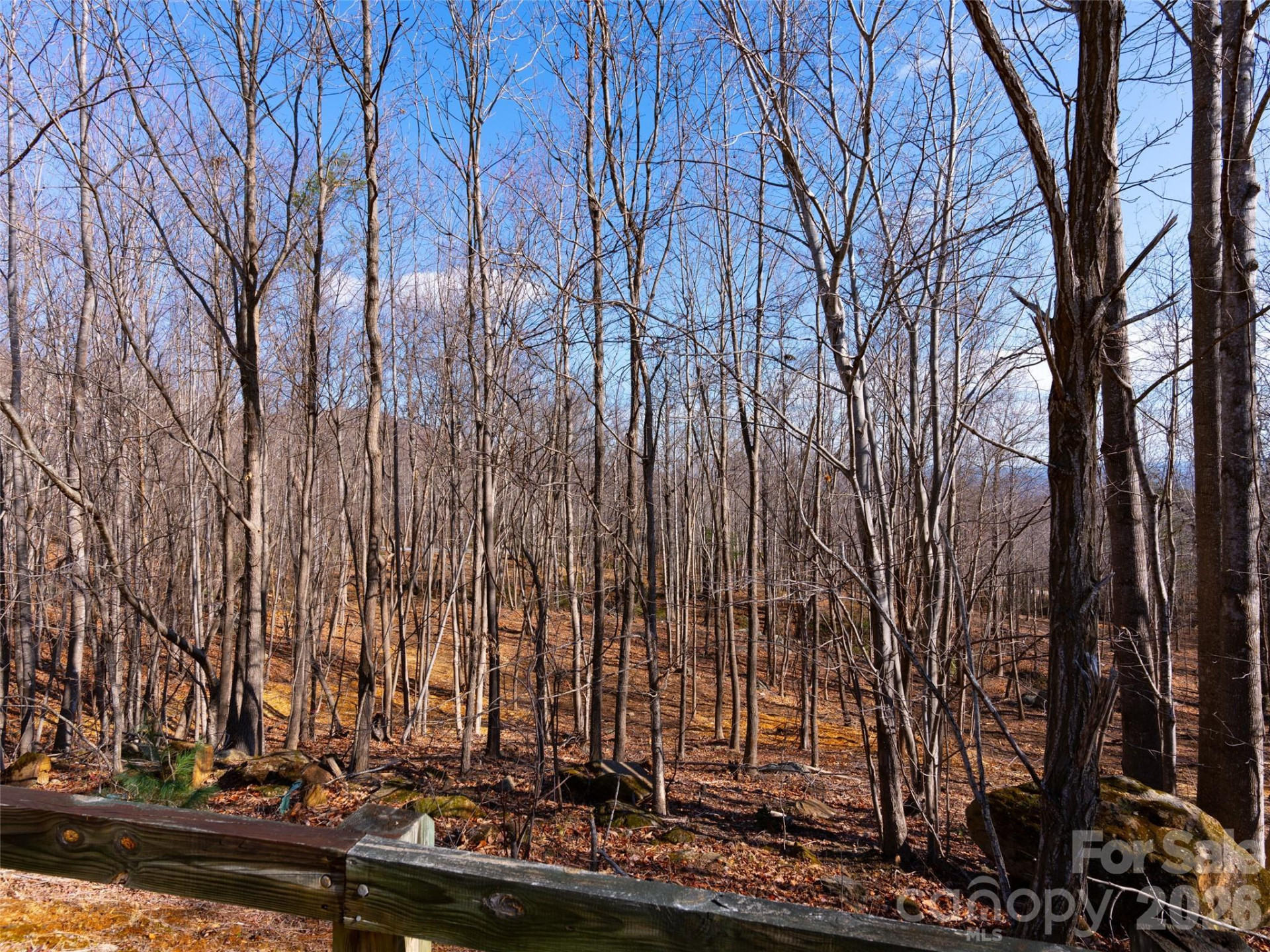 220 Chesterfield Drive - Photo 19