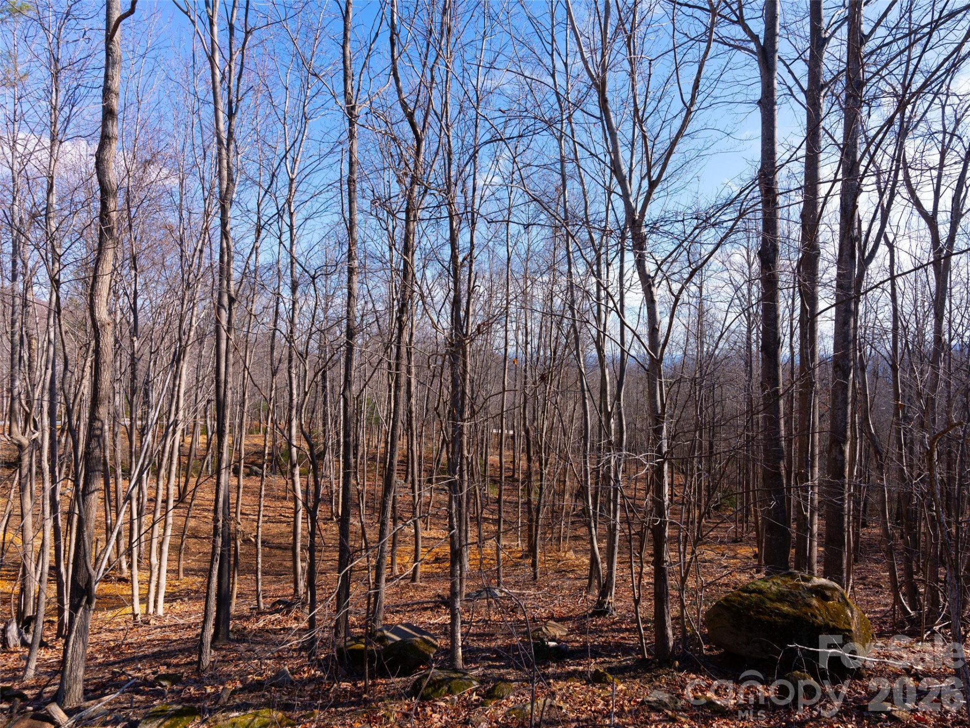 220 Chesterfield Drive - Photo 20