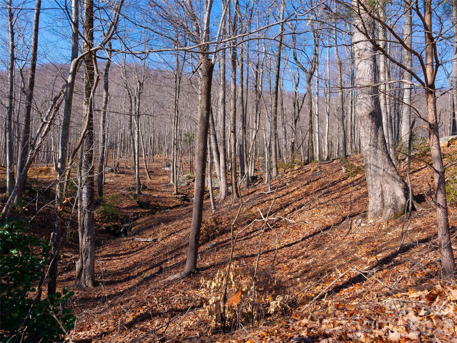 220 Chesterfield Drive - Photo 4