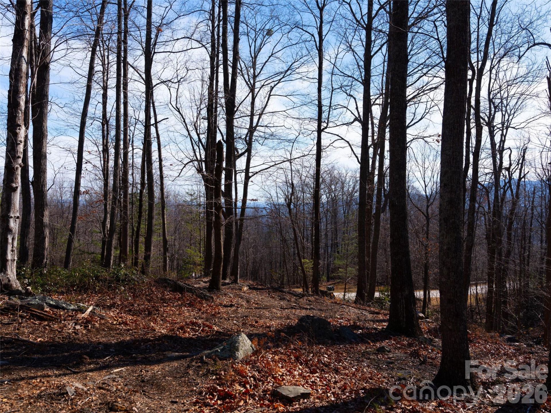 220 Chesterfield Drive - Photo 6