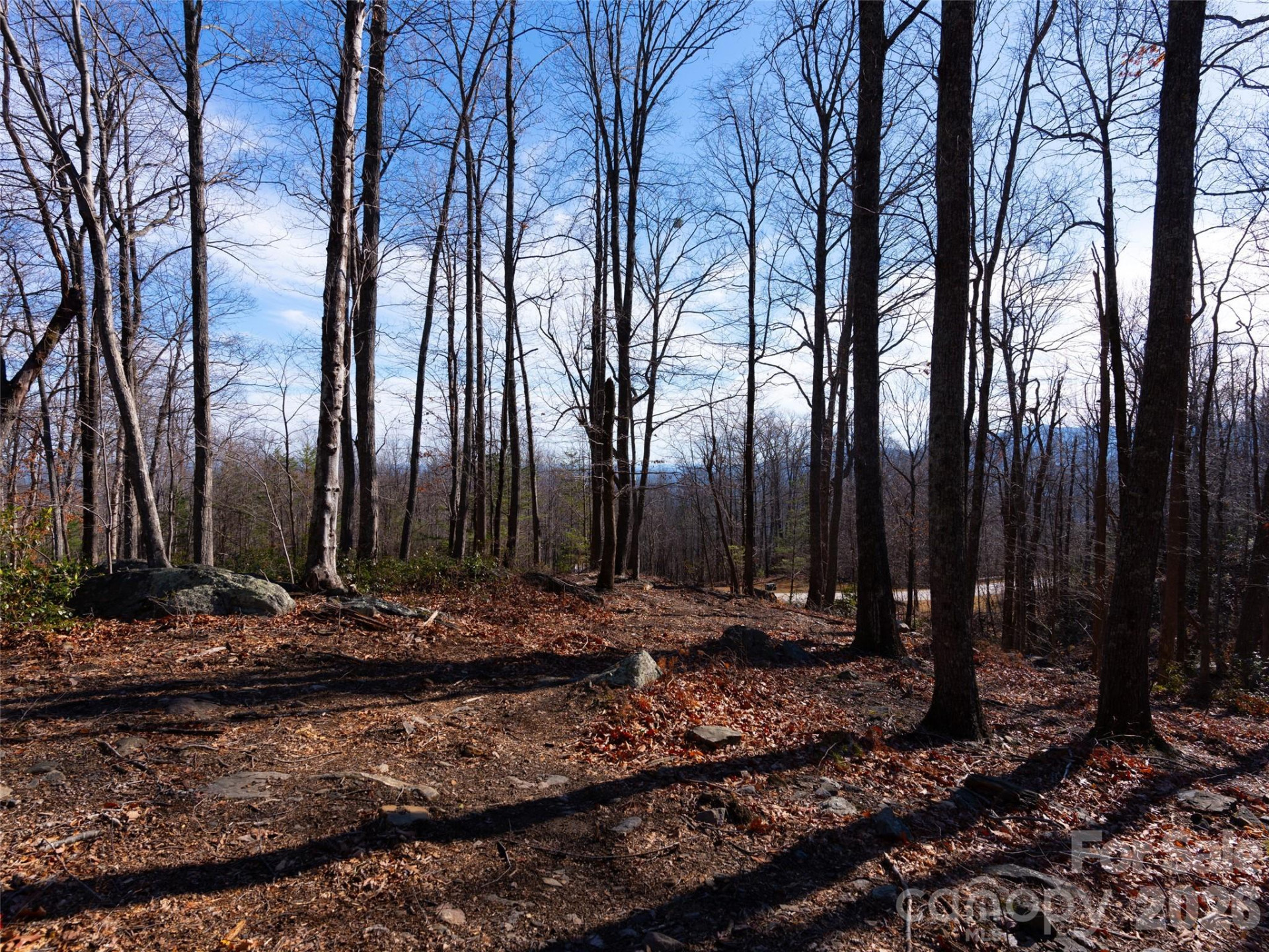 220 Chesterfield Drive - Photo 7