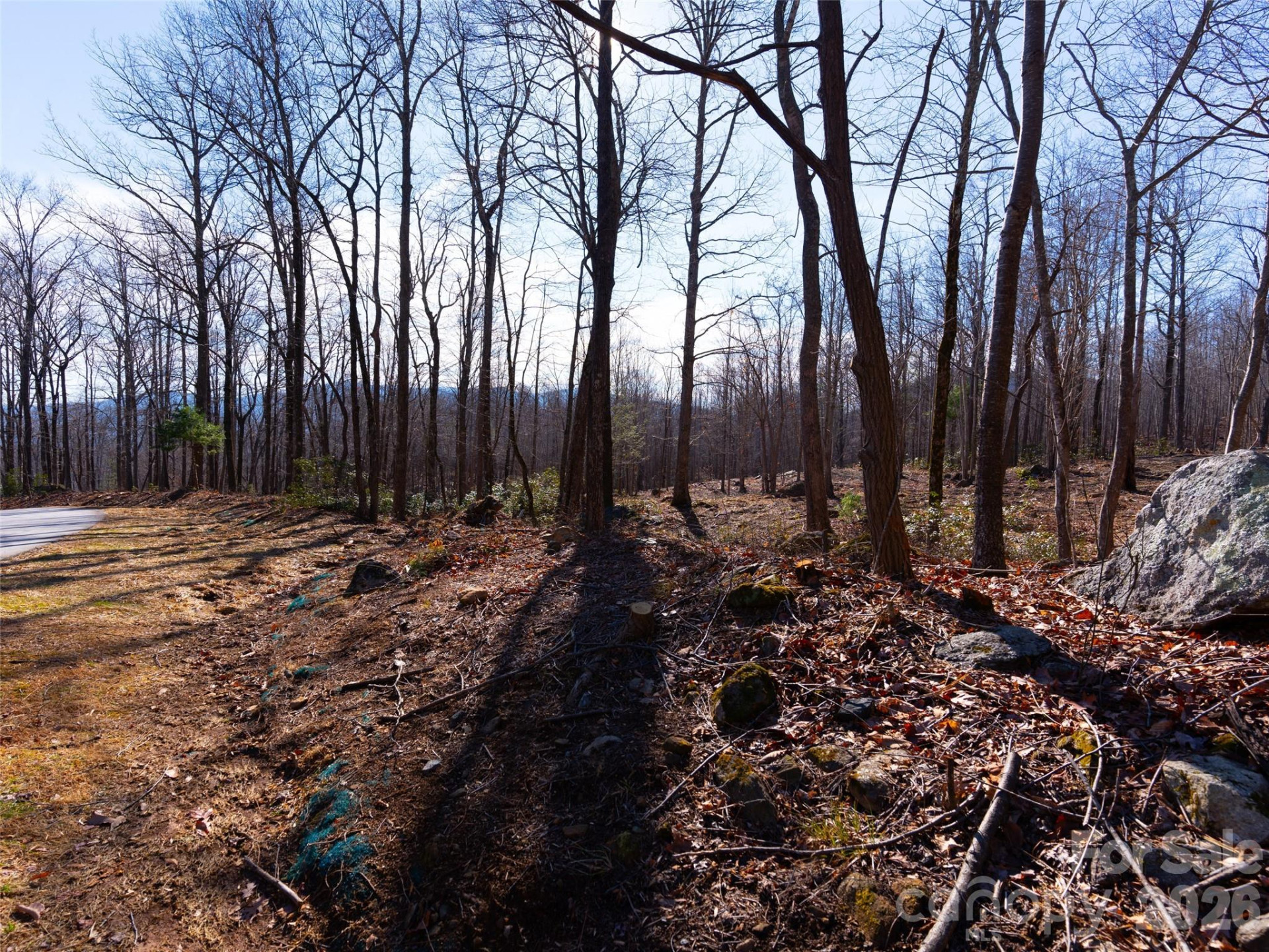 220 Chesterfield Drive - Photo 8