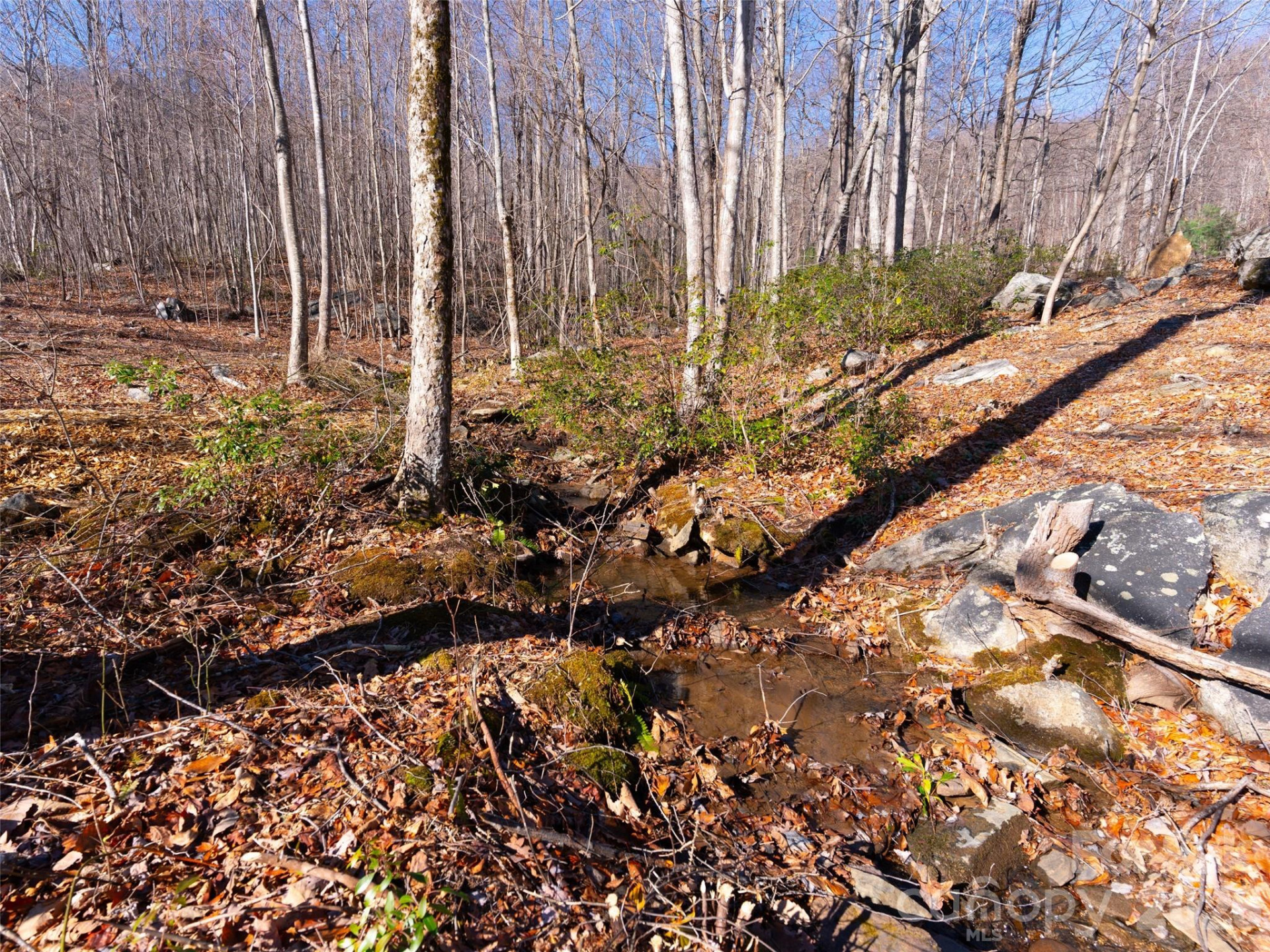 220 Chesterfield Drive - Photo 9