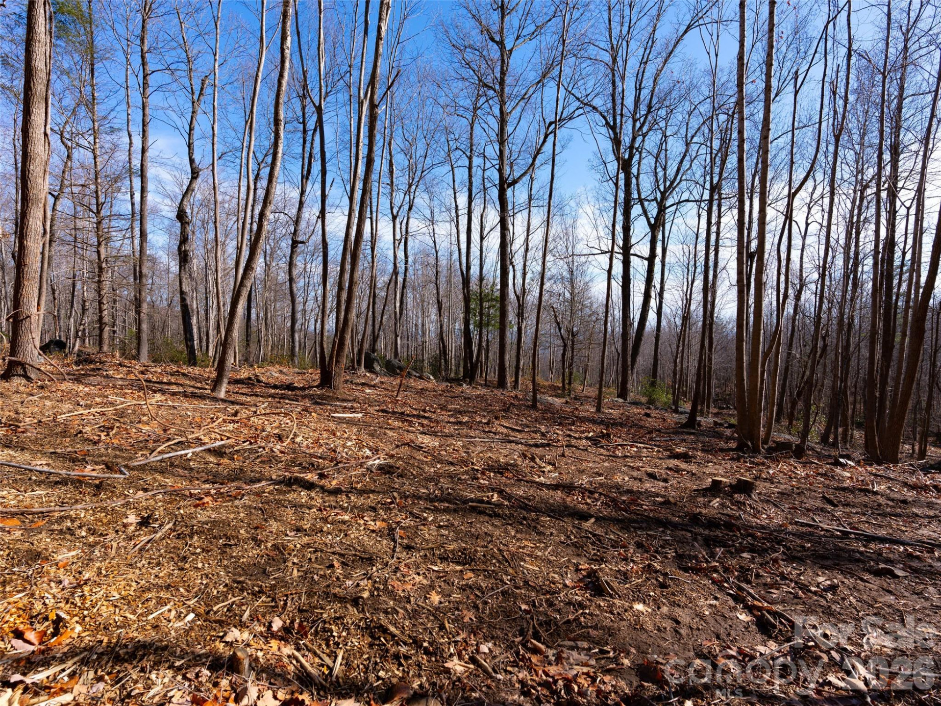 220 Chesterfield Drive - Photo 10