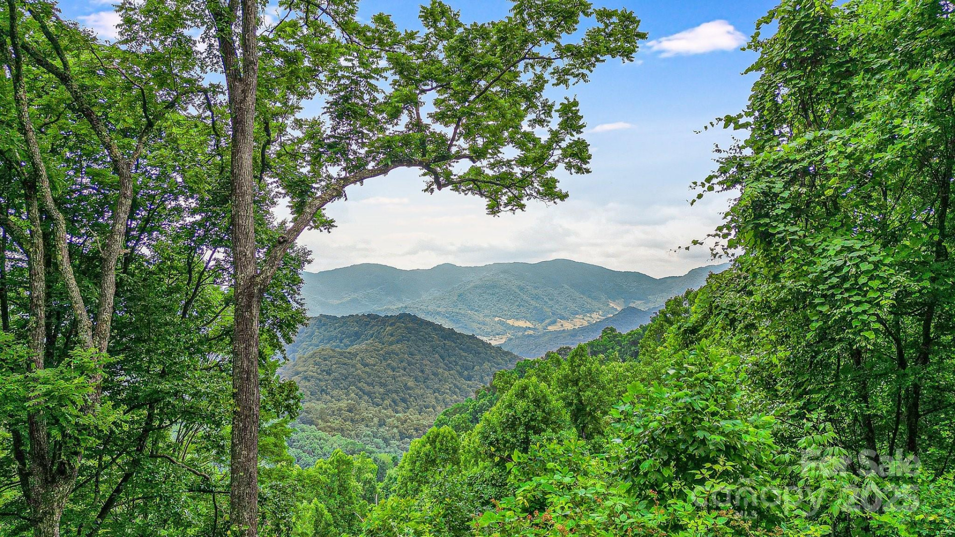 650 Freemont Street #81 - Photo 2