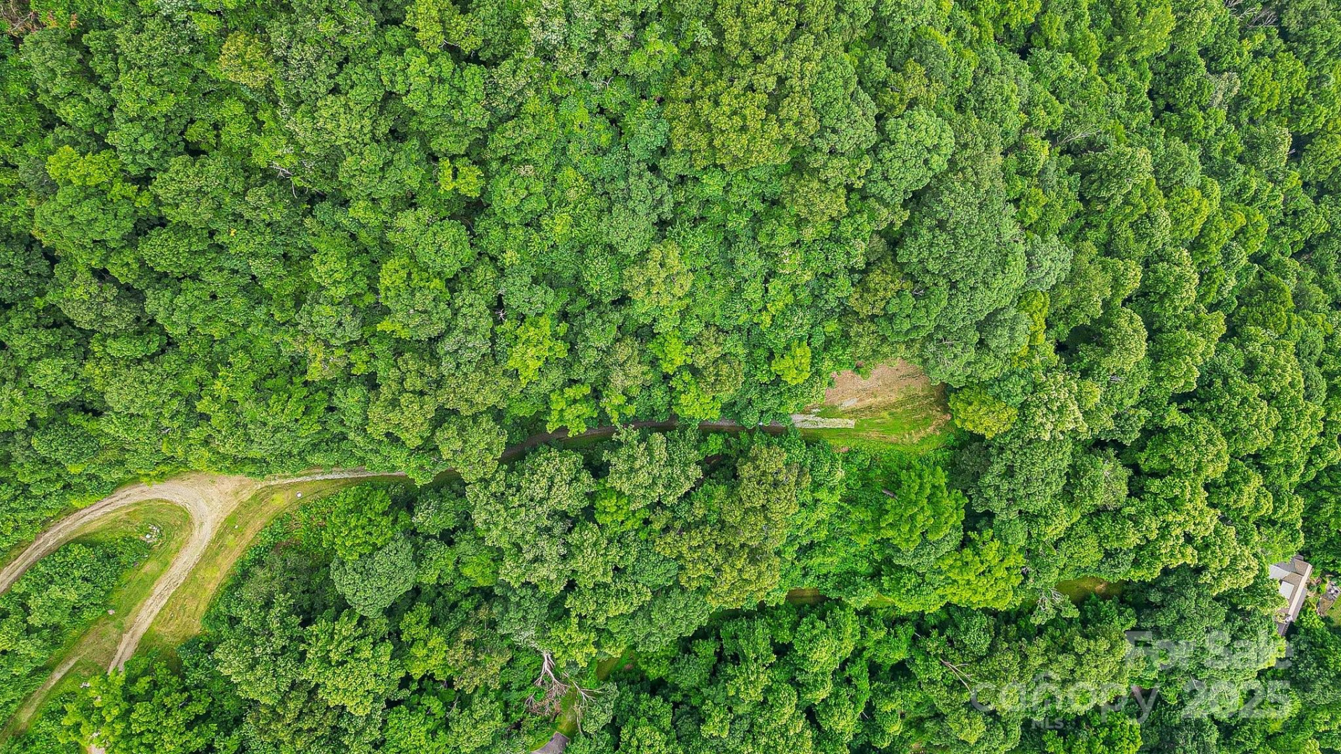 650 Freemont Street #81 - Photo 12