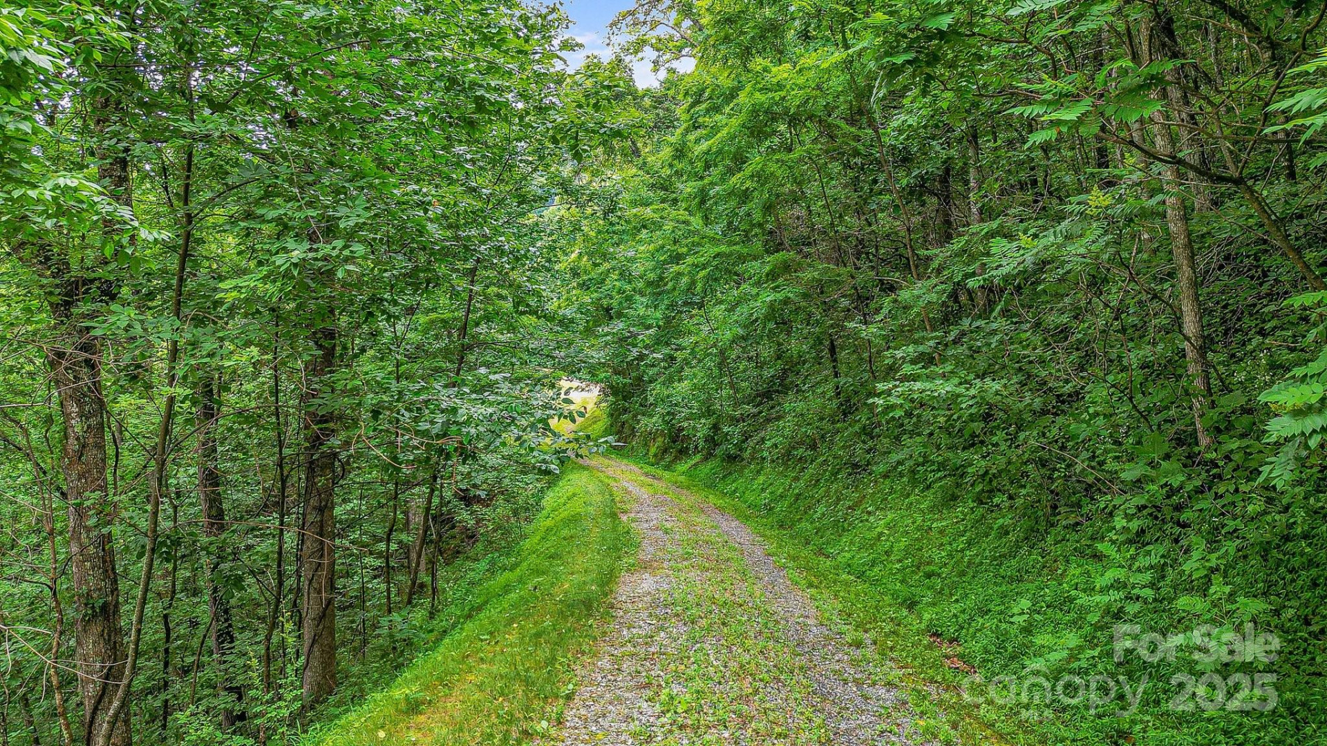 650 Freemont Street #81 - Photo 13