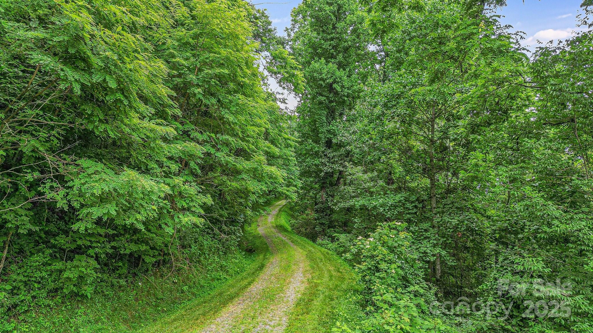 650 Freemont Street #81 - Photo 14