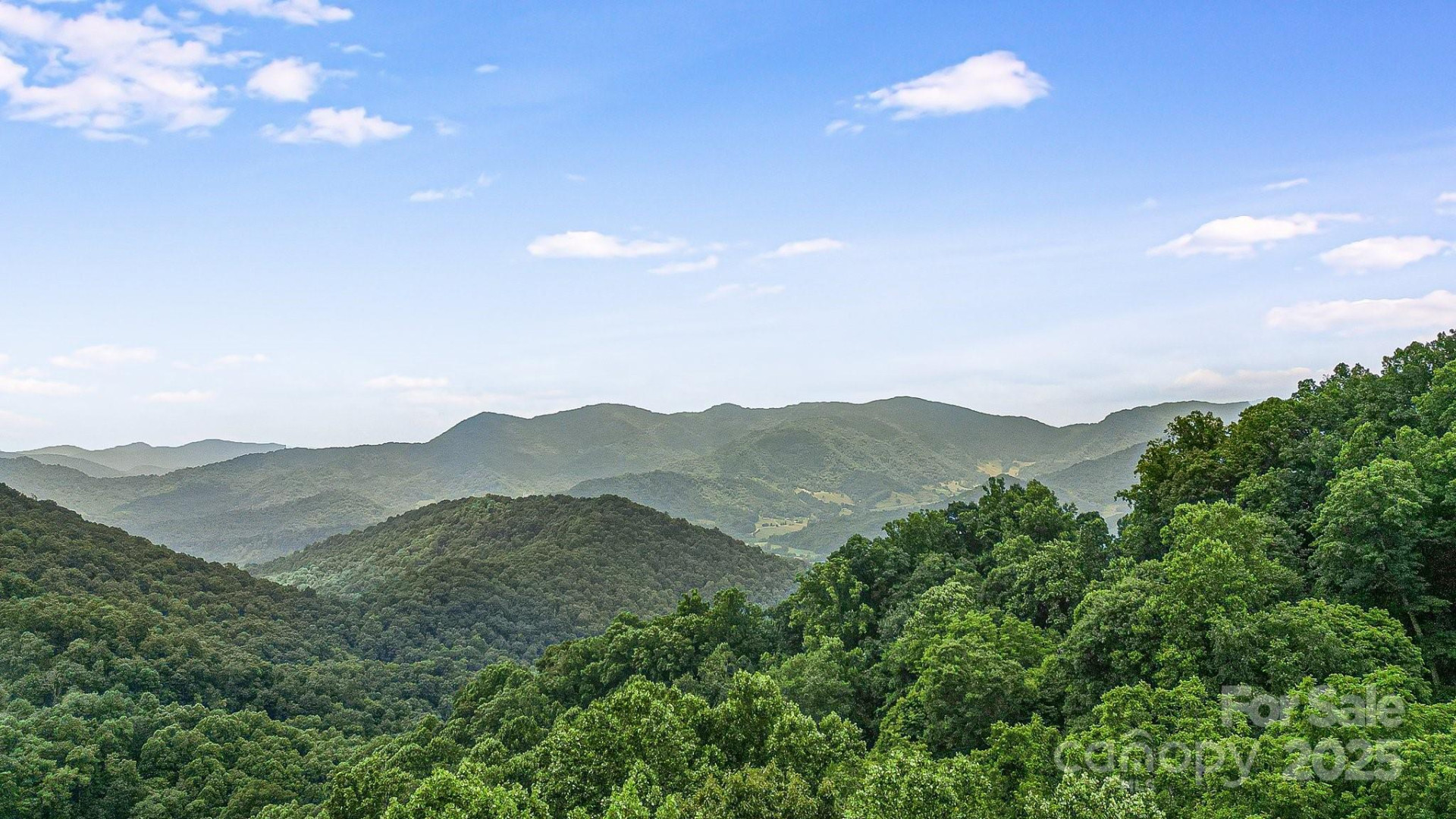 650 Freemont Street #81 - Photo 4