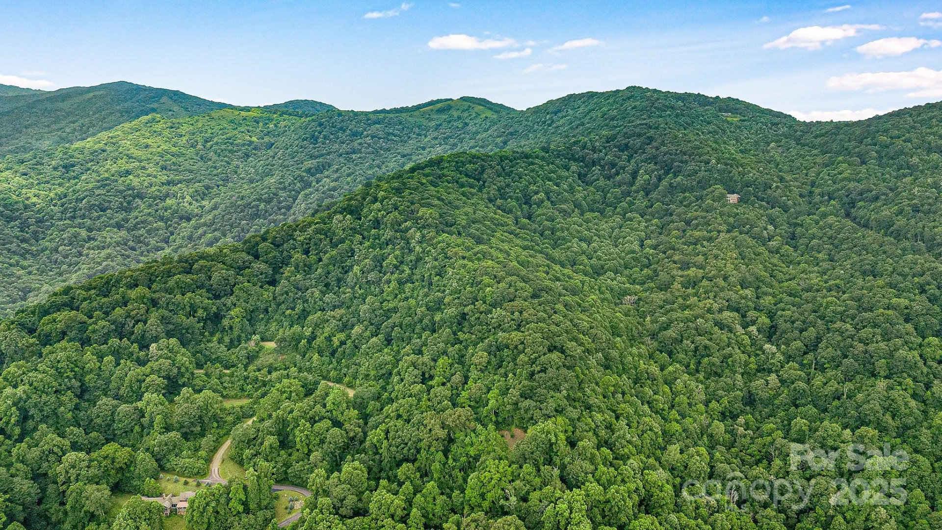 650 Freemont Street #81 - Photo 7