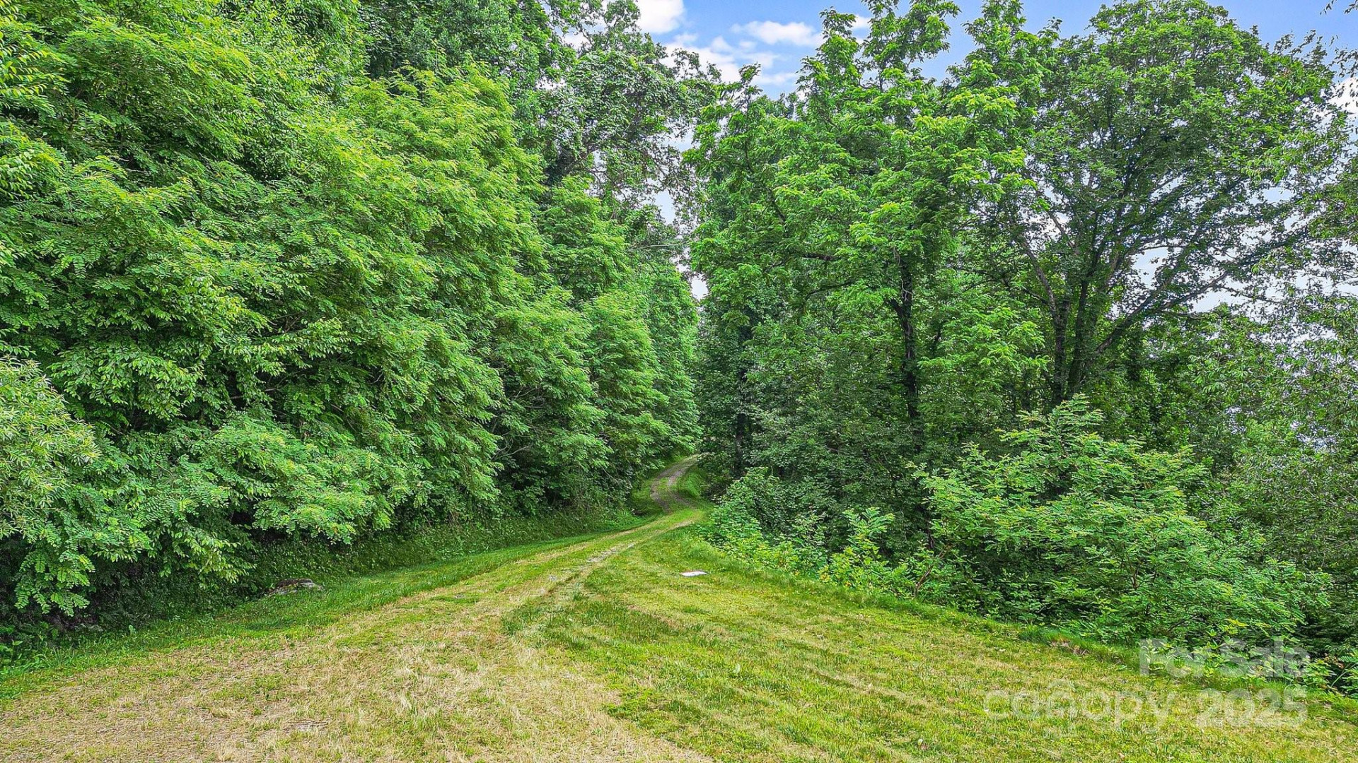 650 Freemont Street #81 - Photo 8