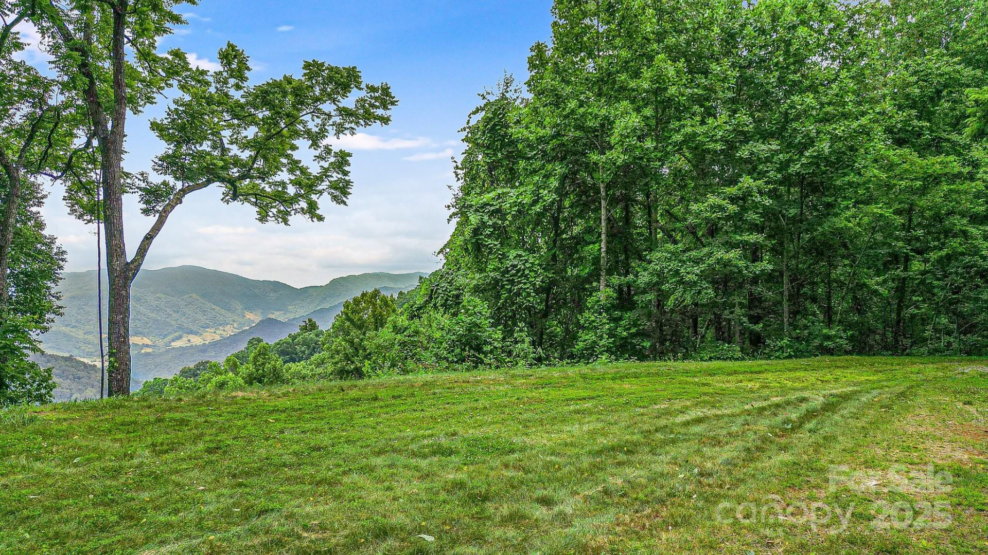 650 Freemont Street #81 - Photo 10