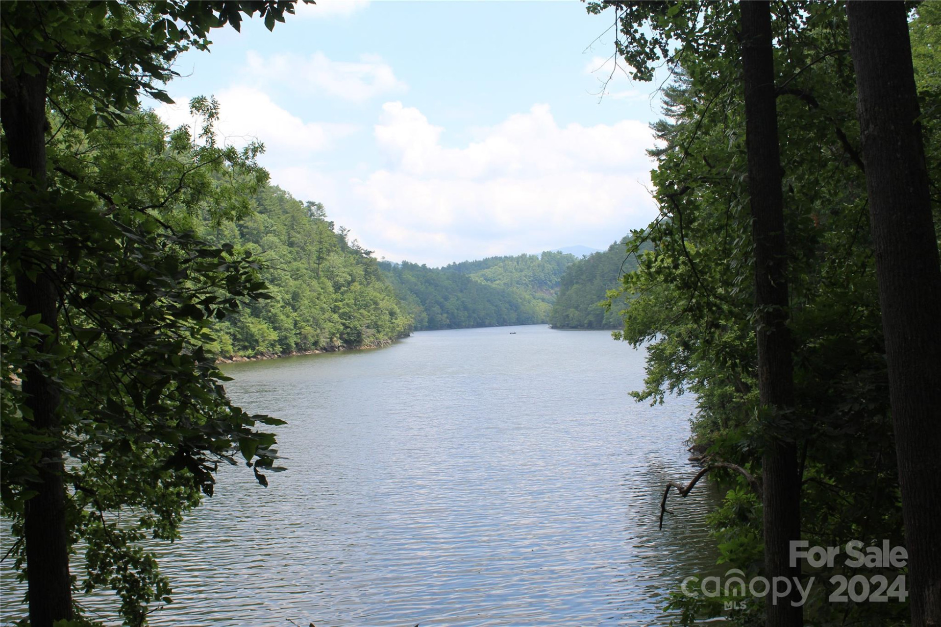 000 White Oak Road - Photo 2