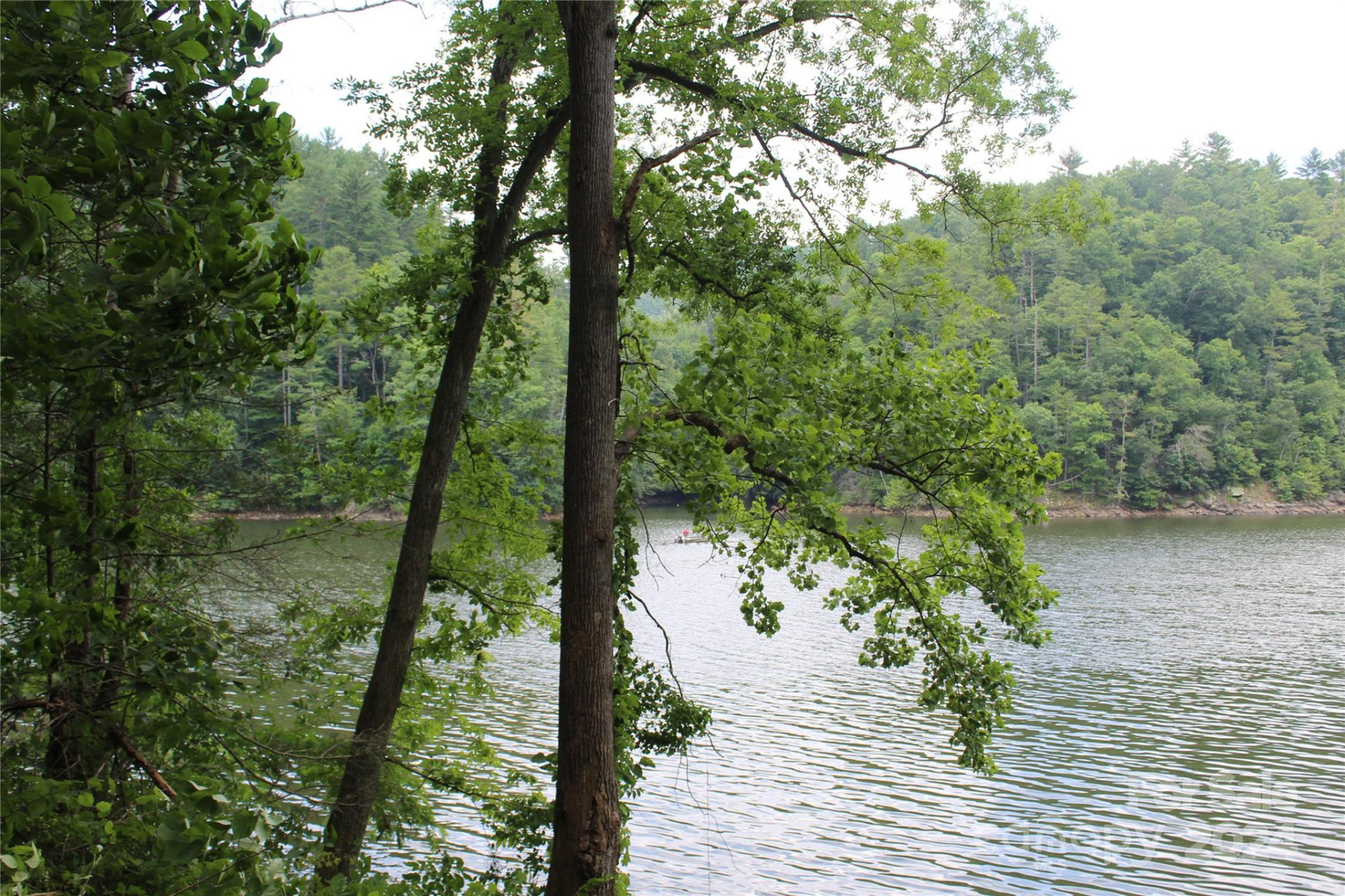 000 White Oak Road - Photo 11