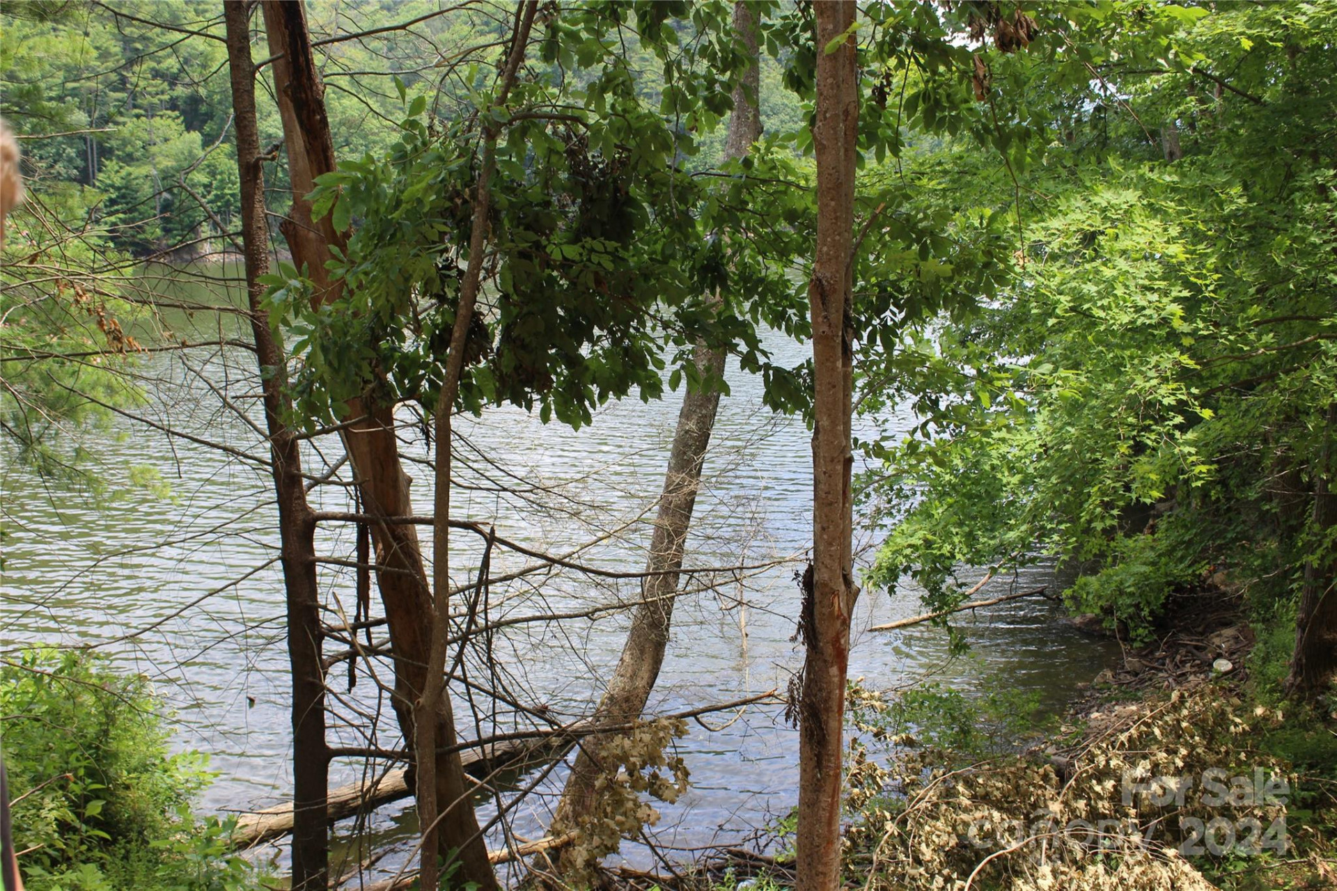 000 White Oak Road - Photo 13