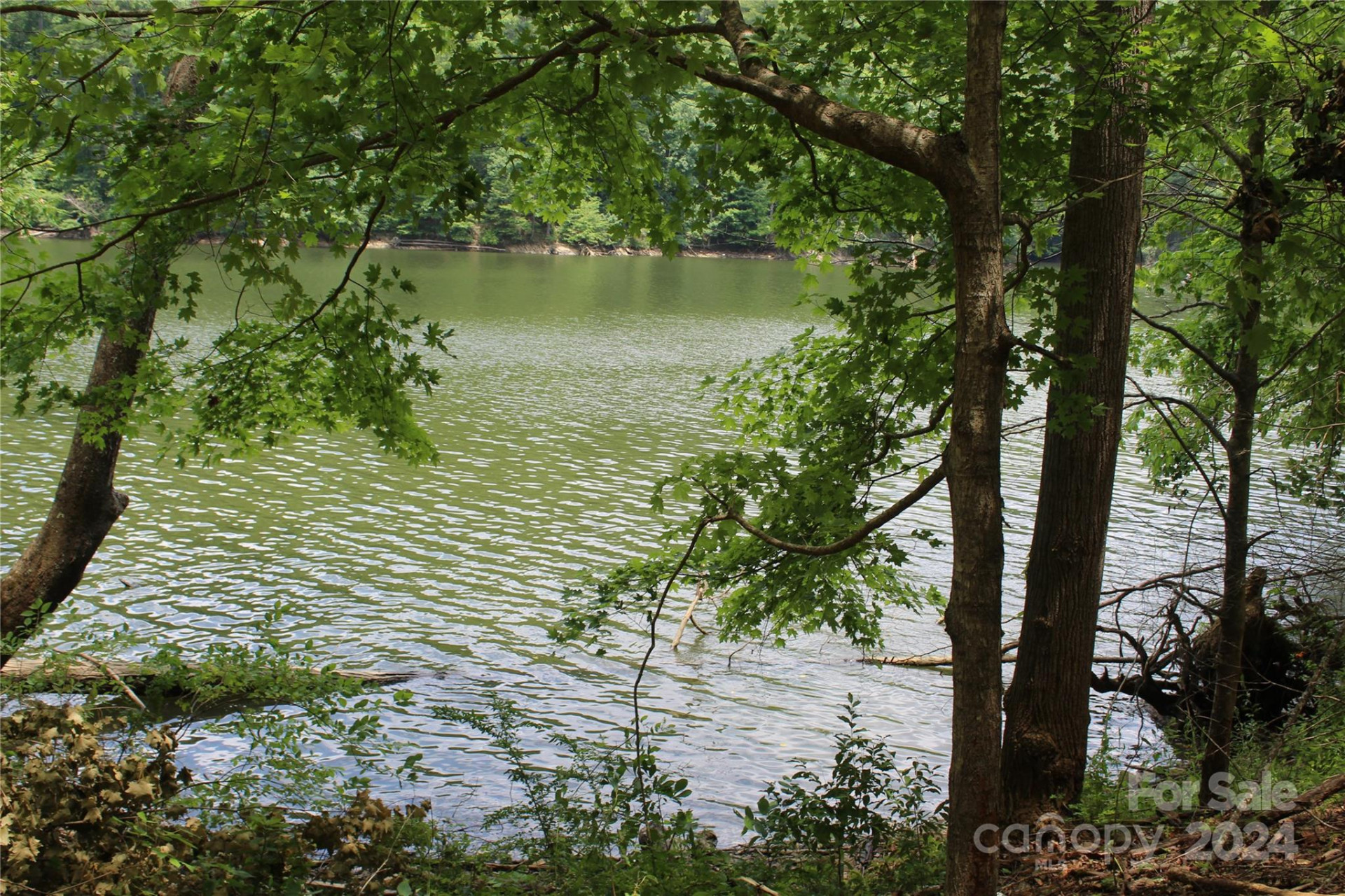 000 White Oak Road - Photo 14