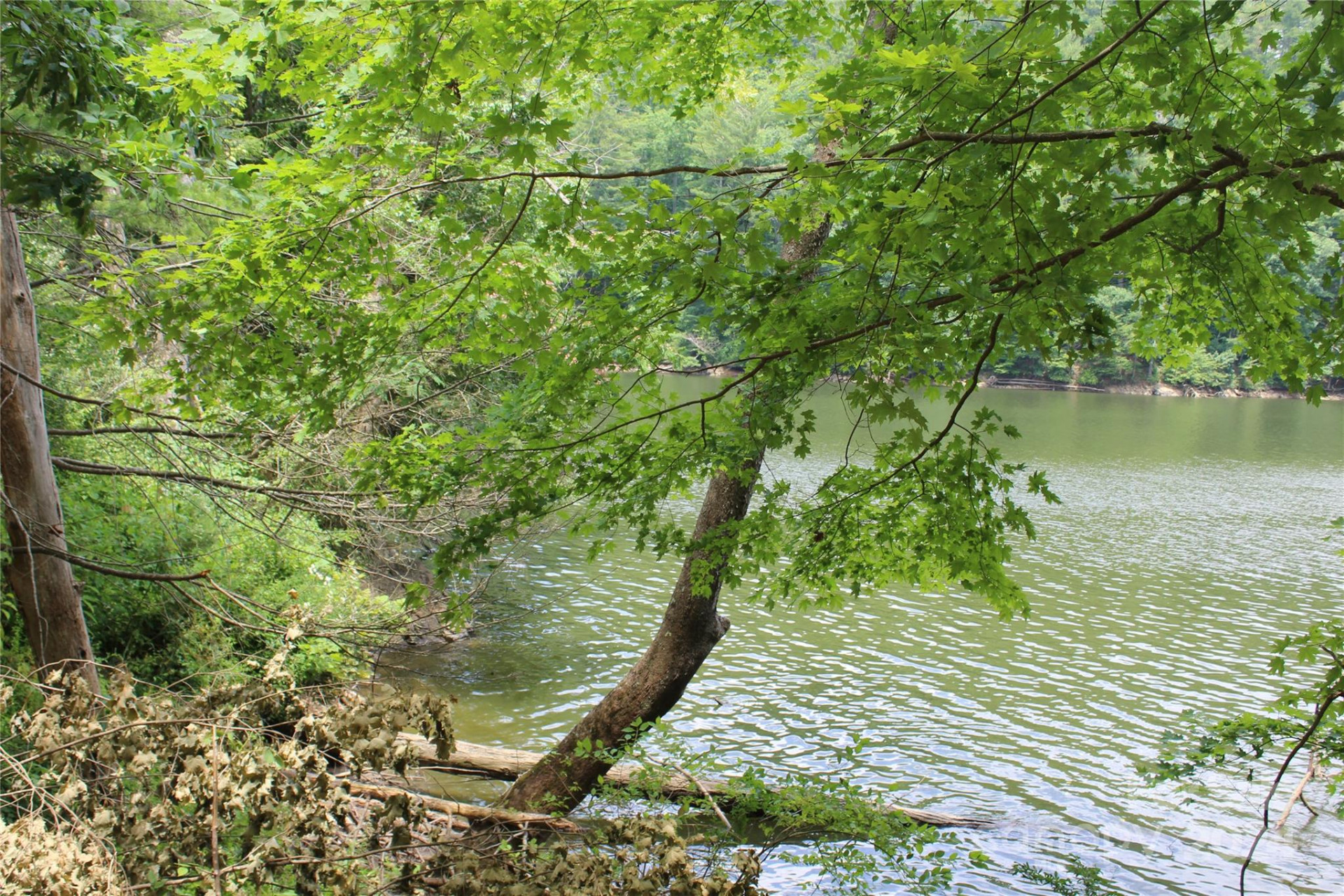 000 White Oak Road - Photo 15