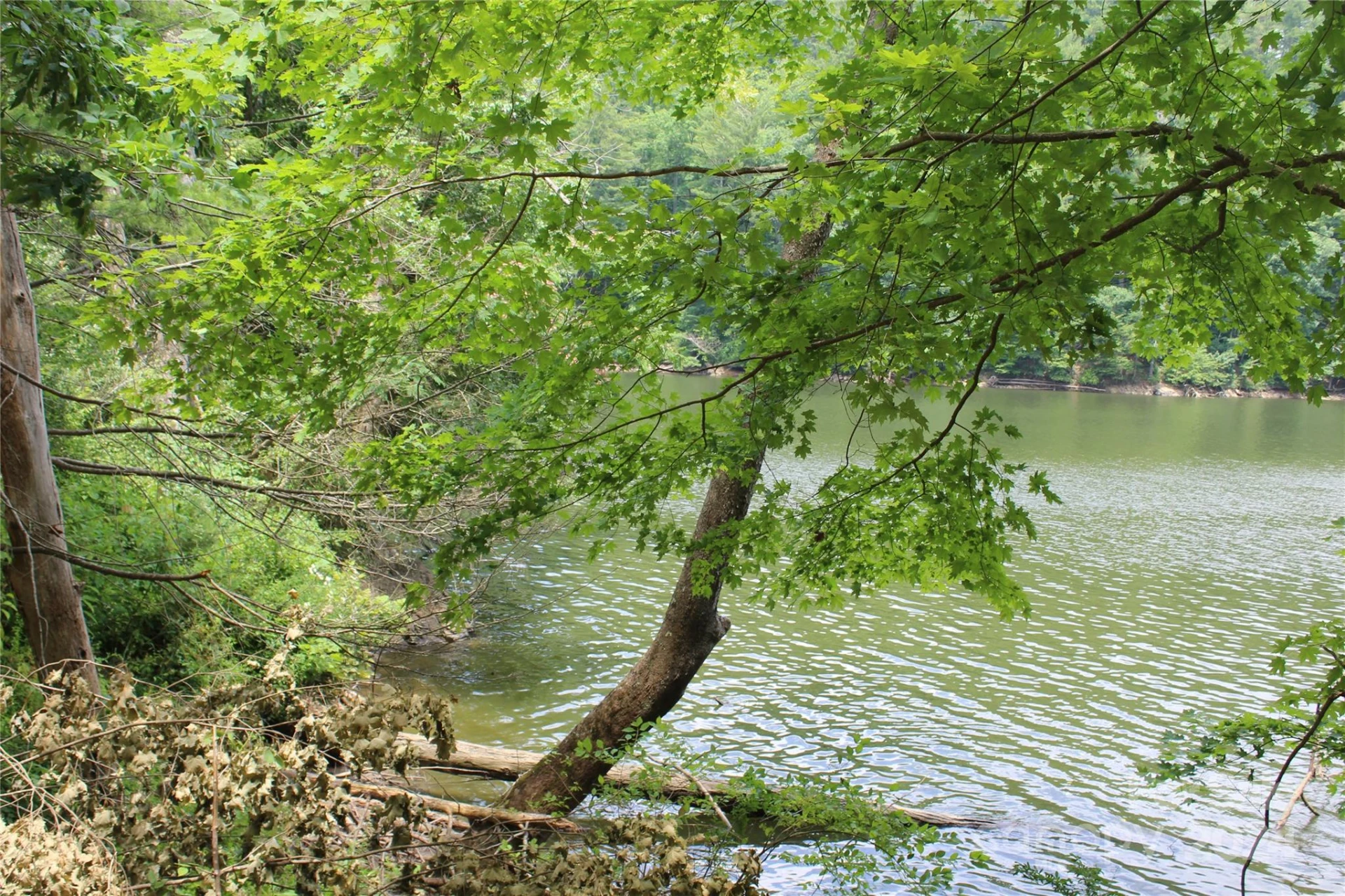 000 White Oak Road - Photo 15