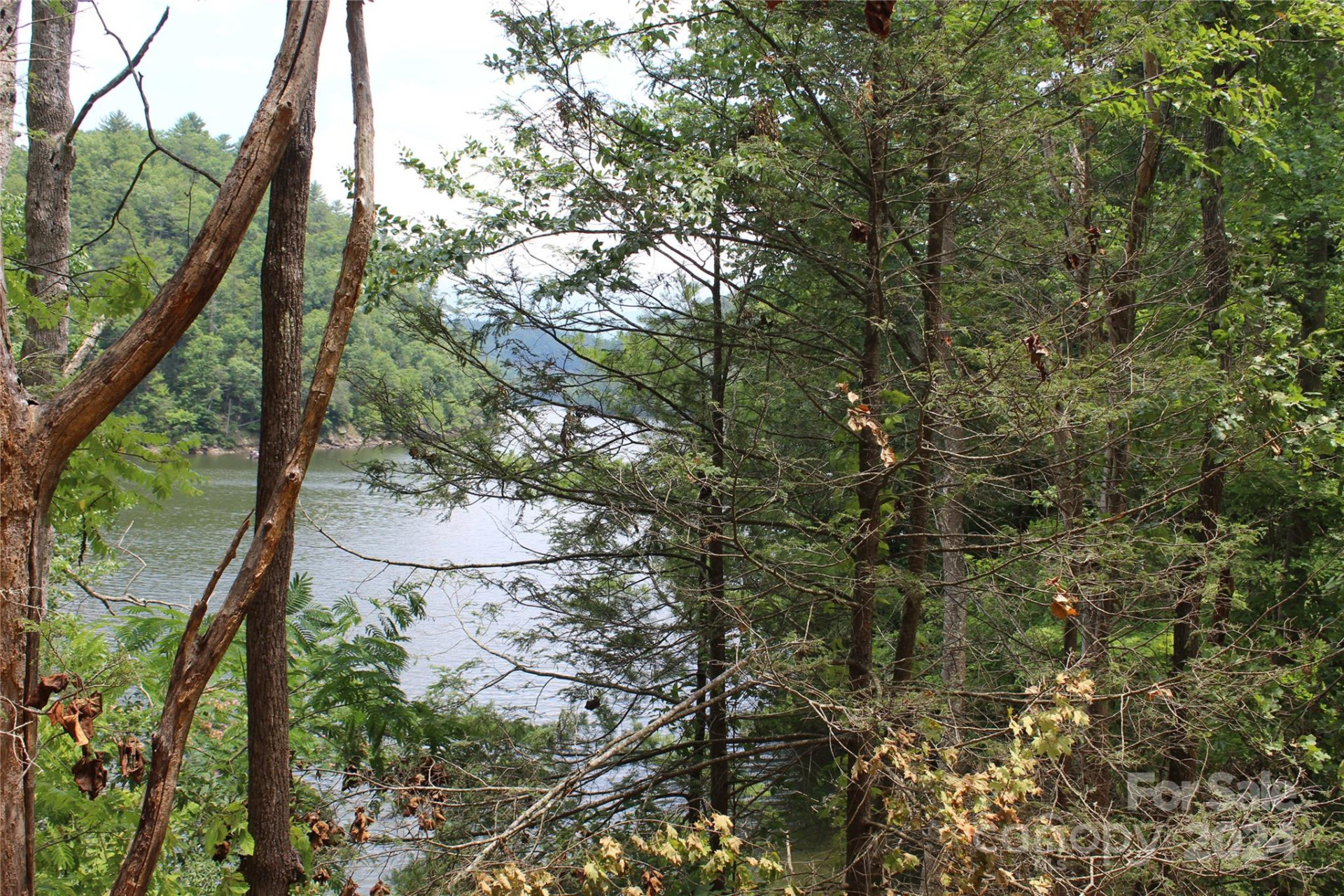 000 White Oak Road - Photo 18