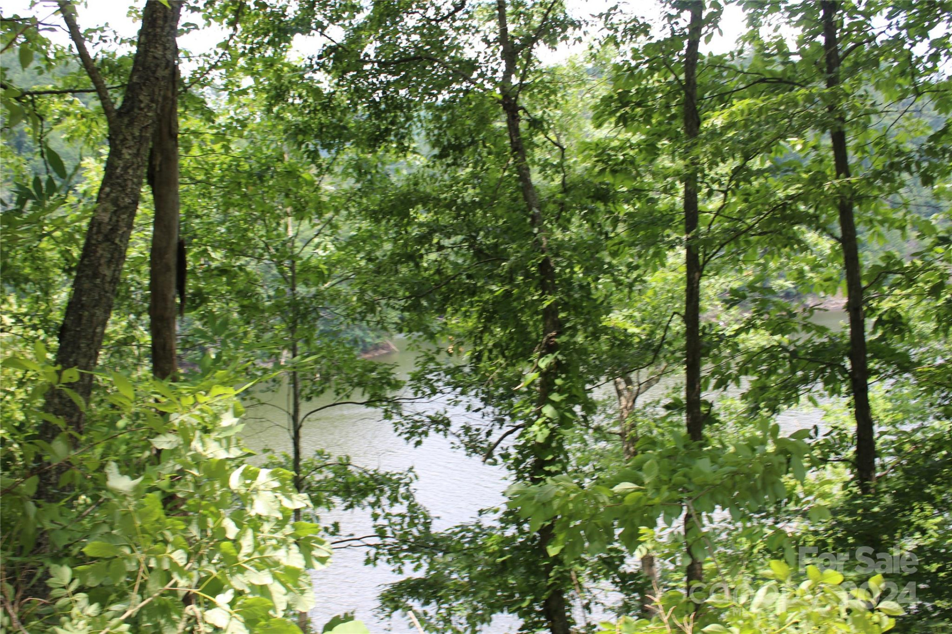 000 White Oak Road - Photo 19