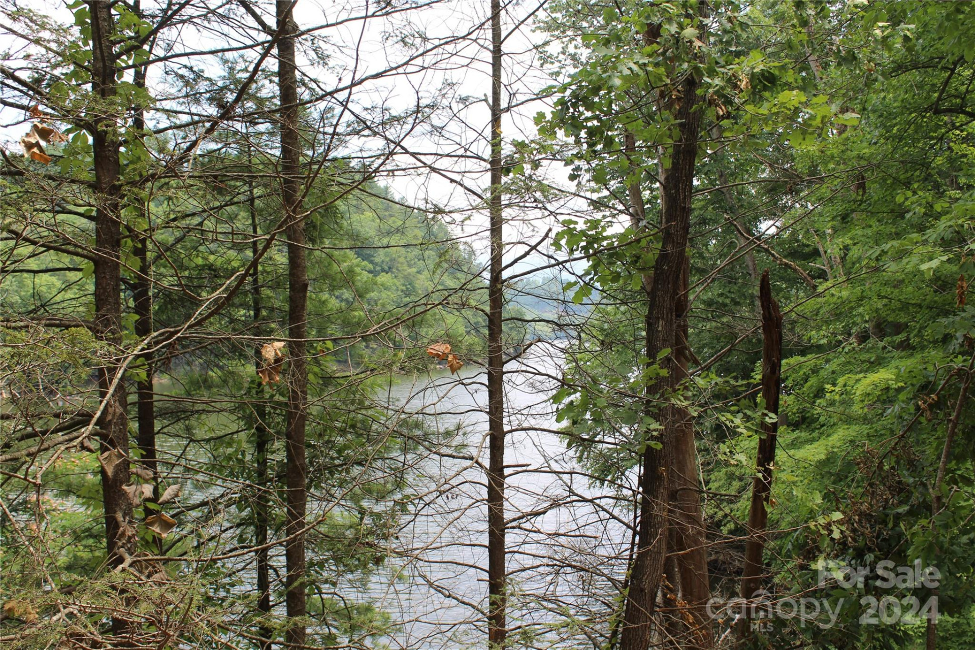 000 White Oak Road - Photo 20