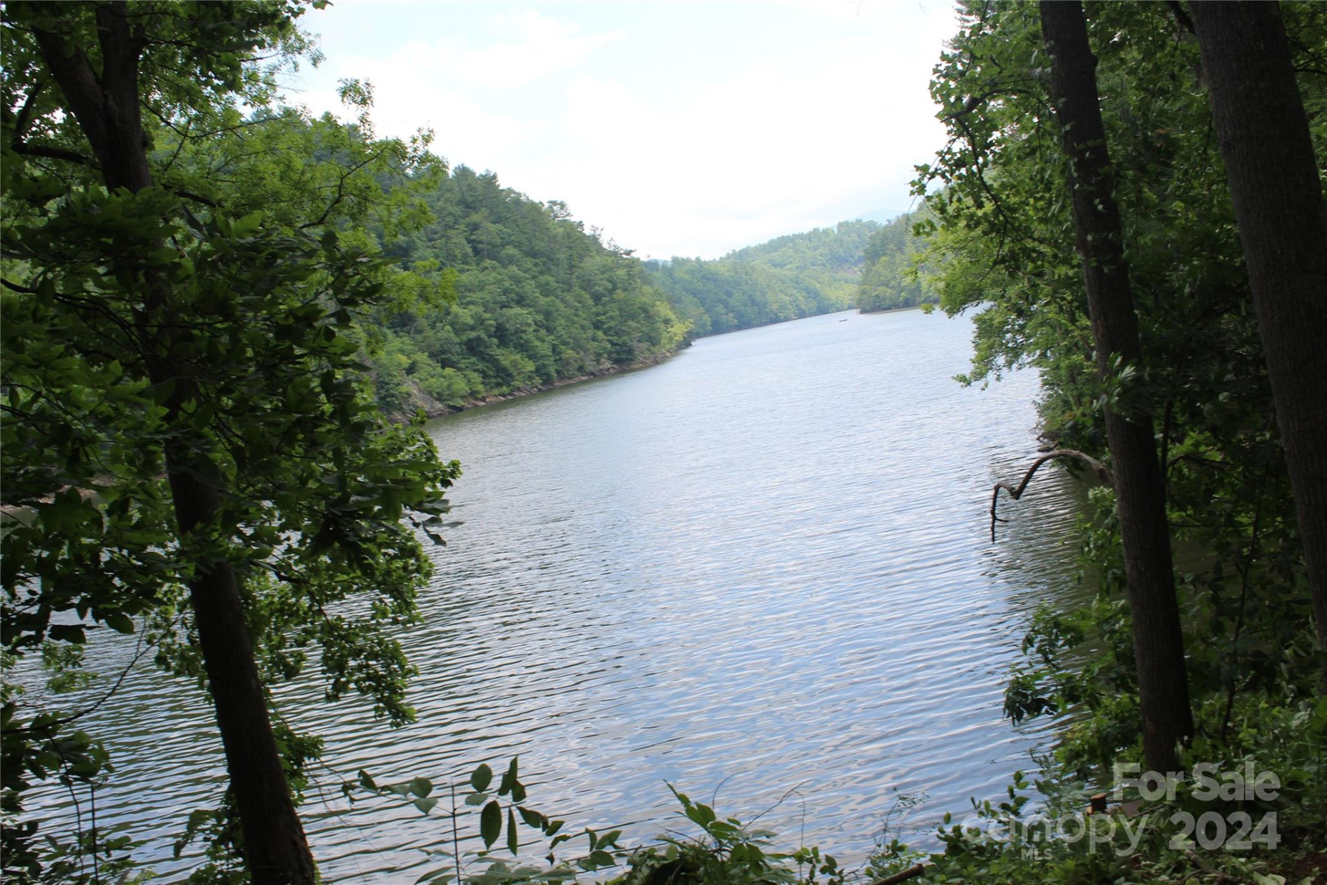 000 White Oak Road - Photo 3