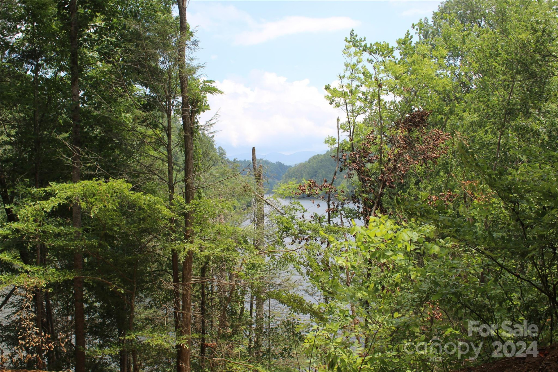 000 White Oak Road - Photo 22