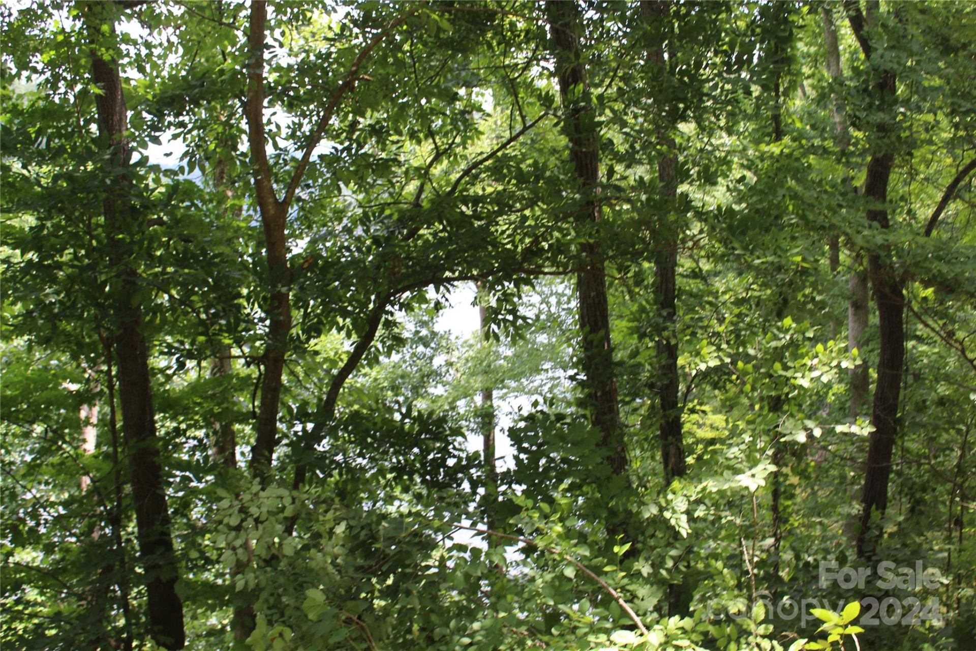 000 White Oak Road - Photo 23