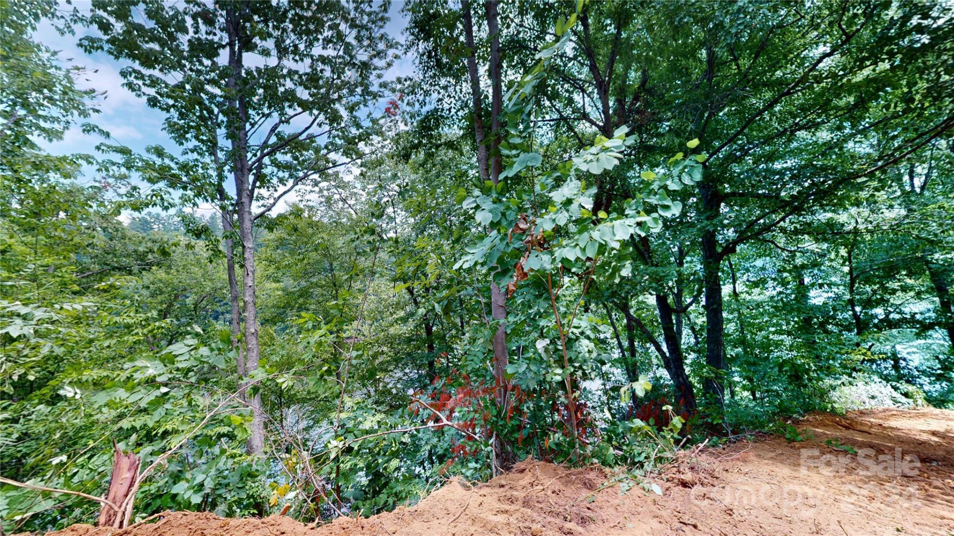 000 White Oak Road - Photo 26