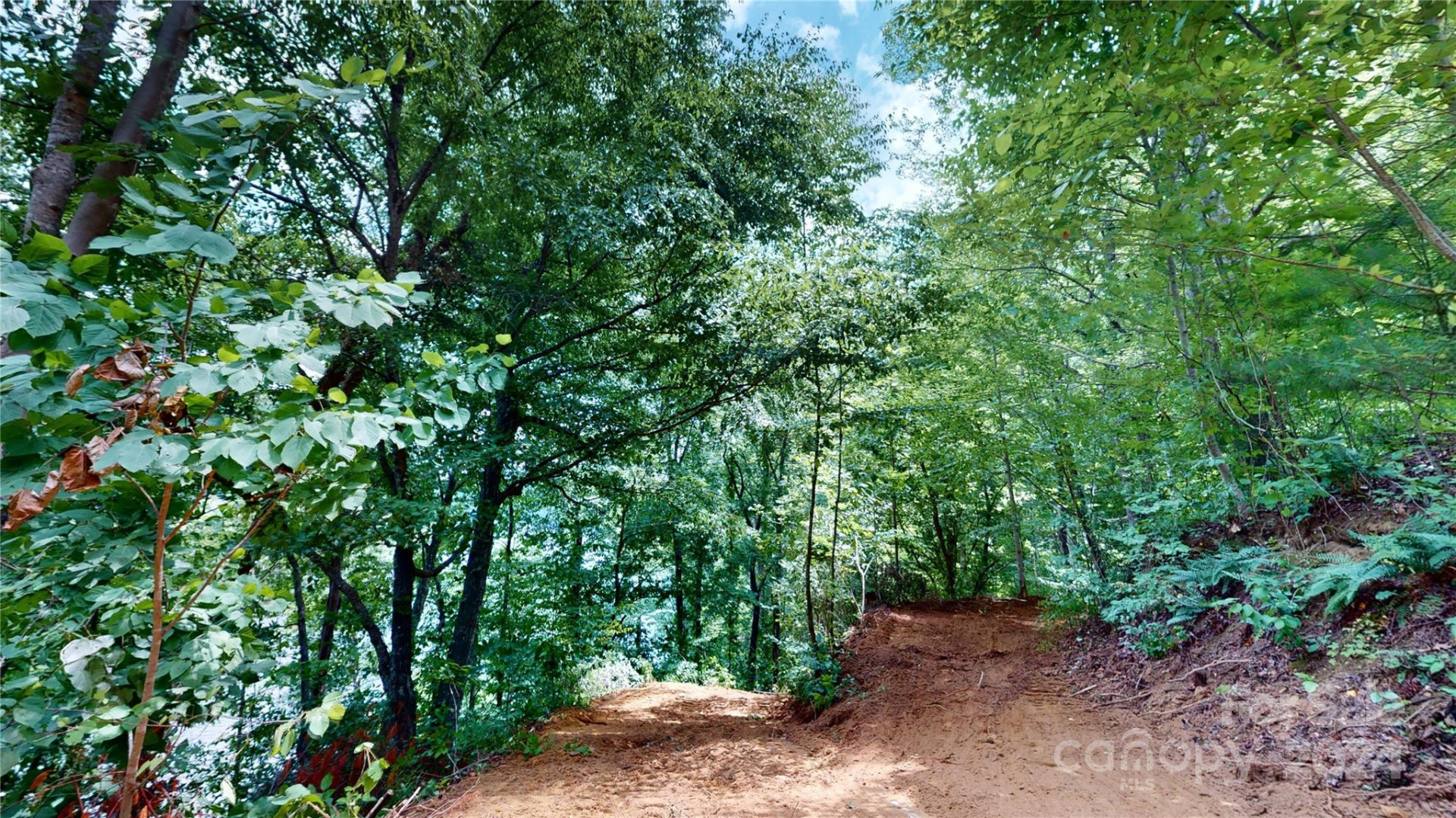 000 White Oak Road - Photo 27